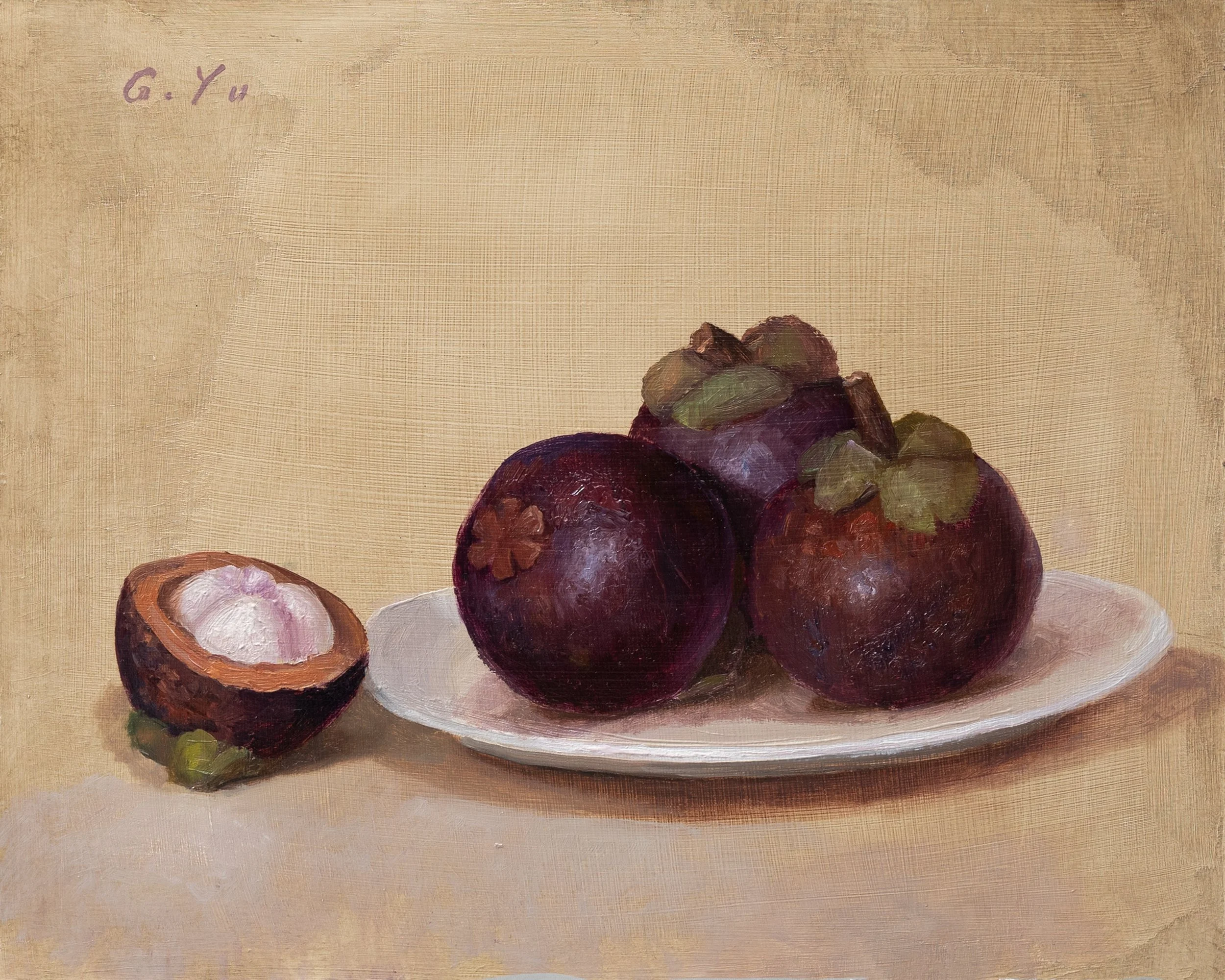 Mangosteen, 8x10 inch