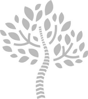 Wellness Roots Chiropractic and Health Clinic