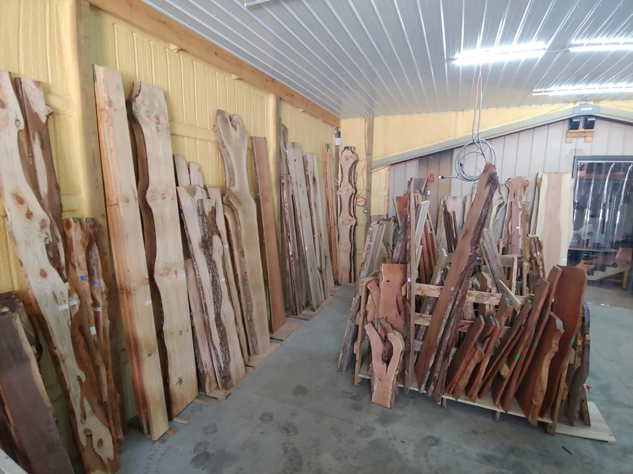 Kiln dried, flattened, live edge slabs - various species - in showroom