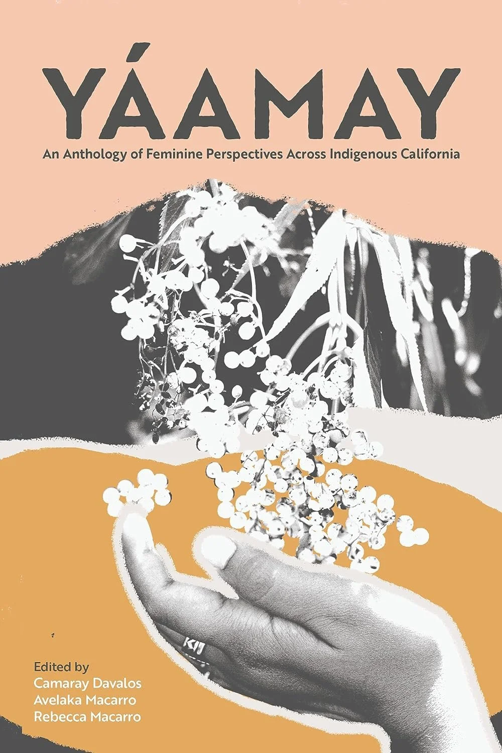 Yáamay : An Anthology of Feminine Perspectives Across Indigenous California