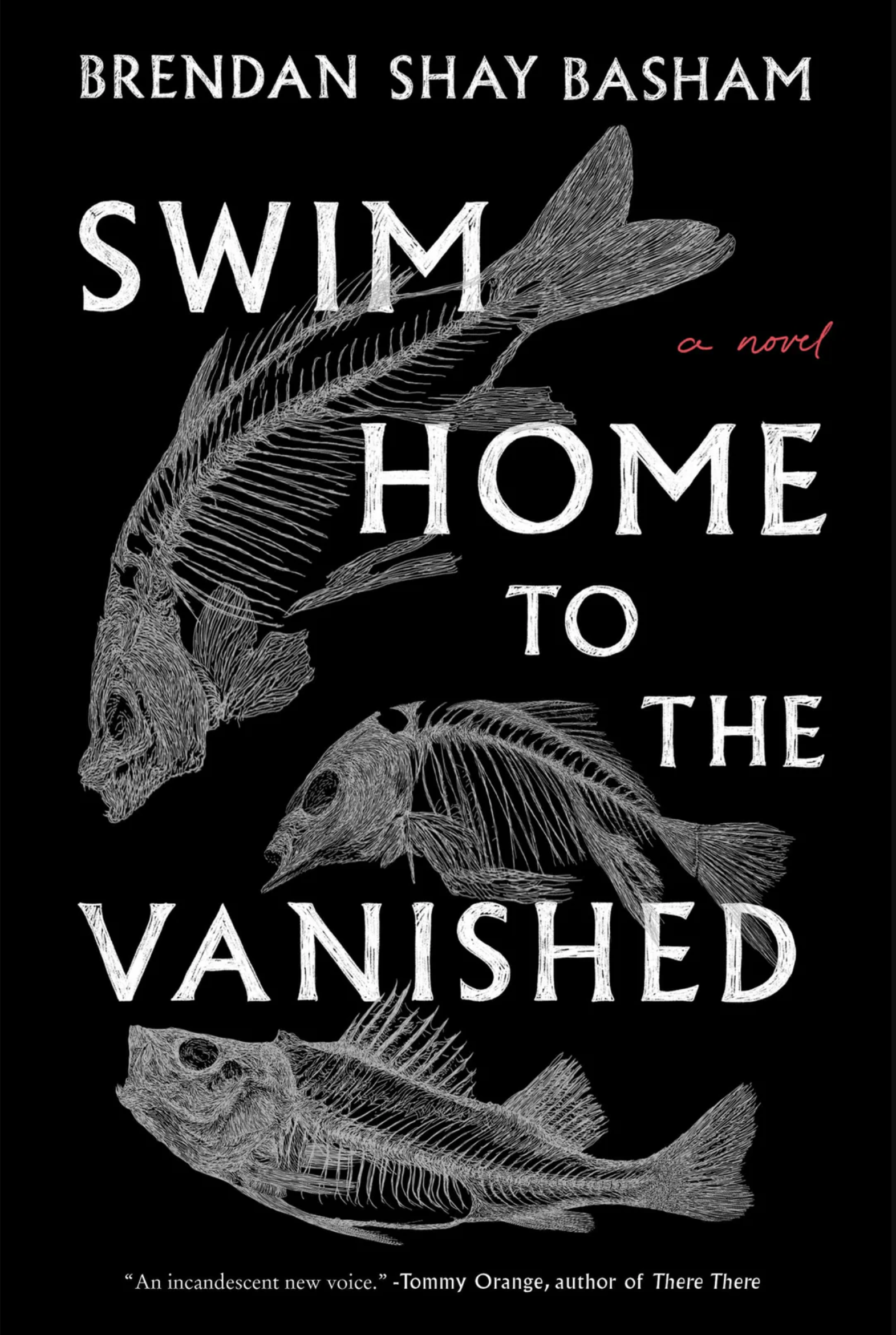 Swim Home to the Vanished (Hard Cover)