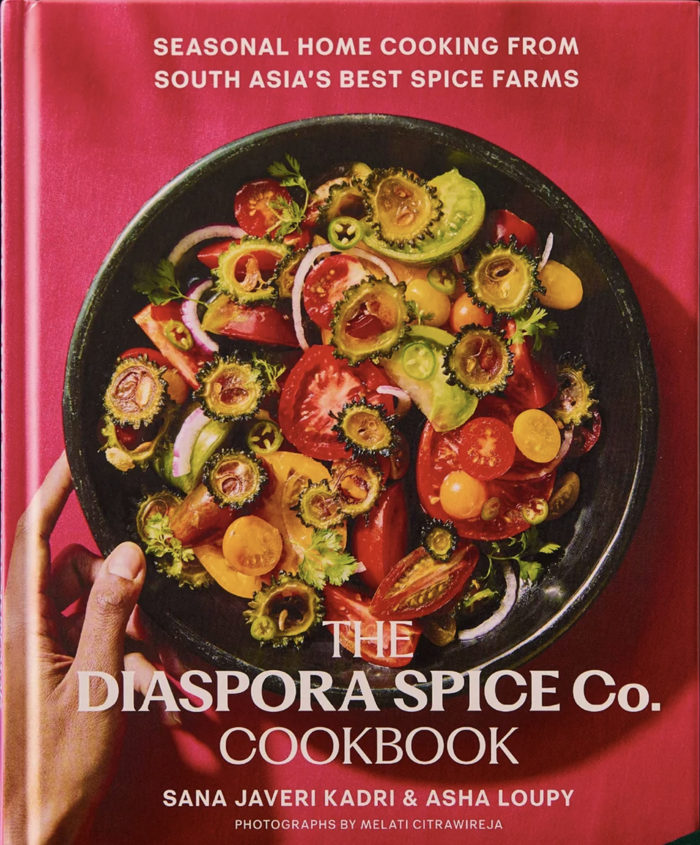 The Diaspora Spice Co. Cookbook.png