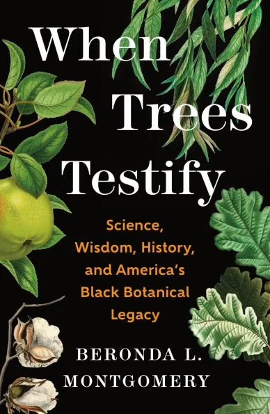 when trees testify.jpg