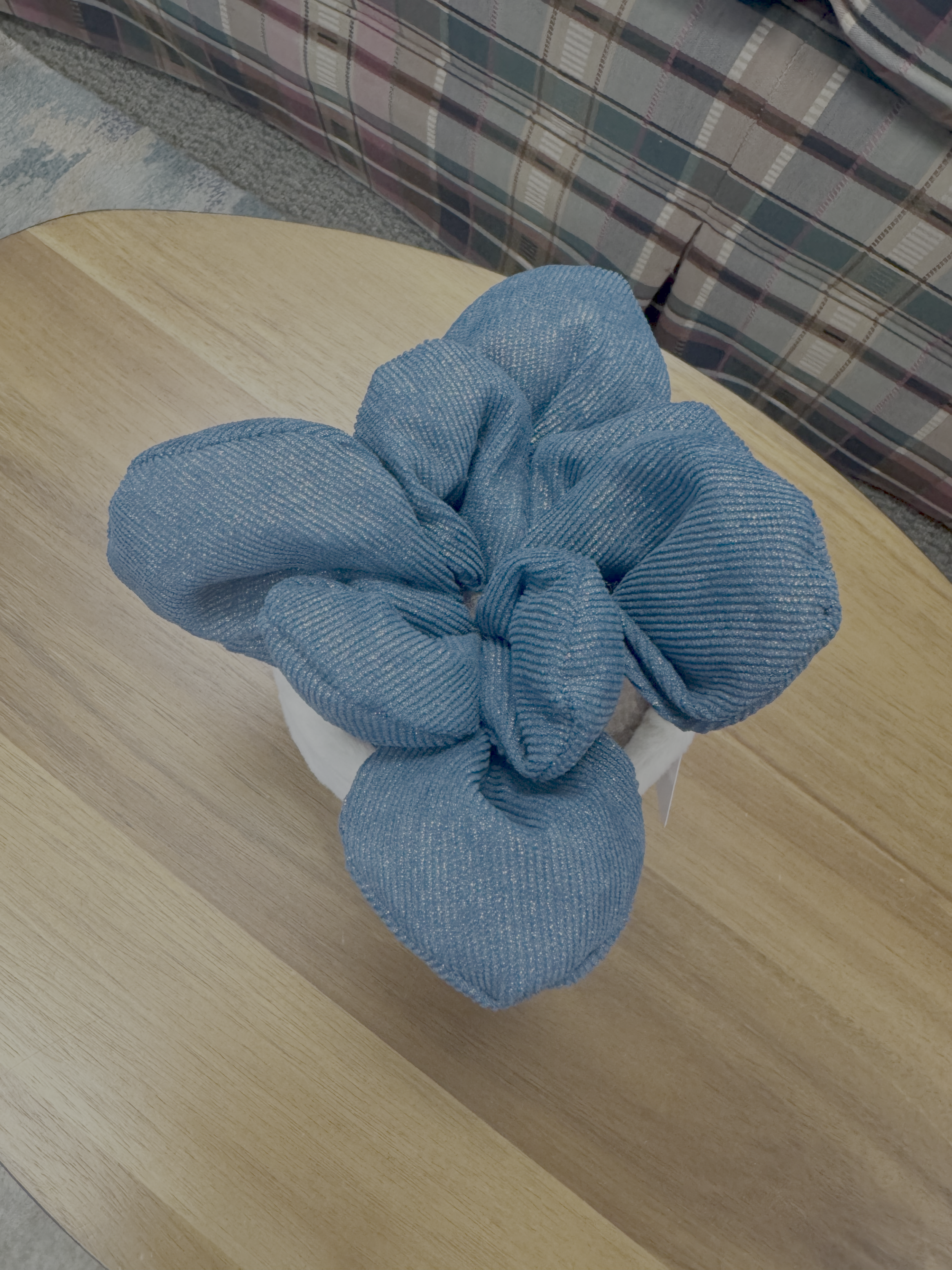 blue plushie 2.png