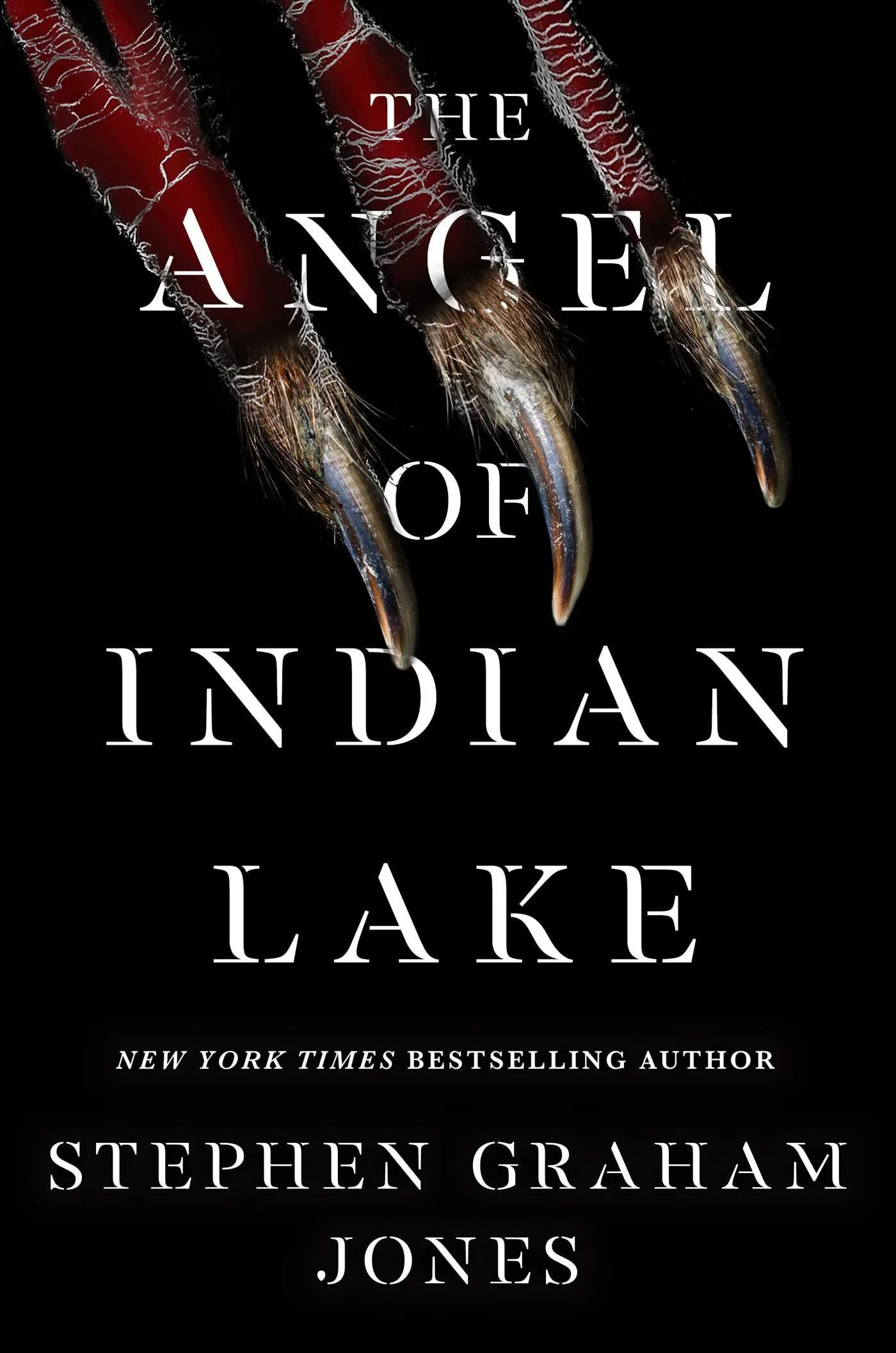 The Angel of Indian Lake (Hard Cover)