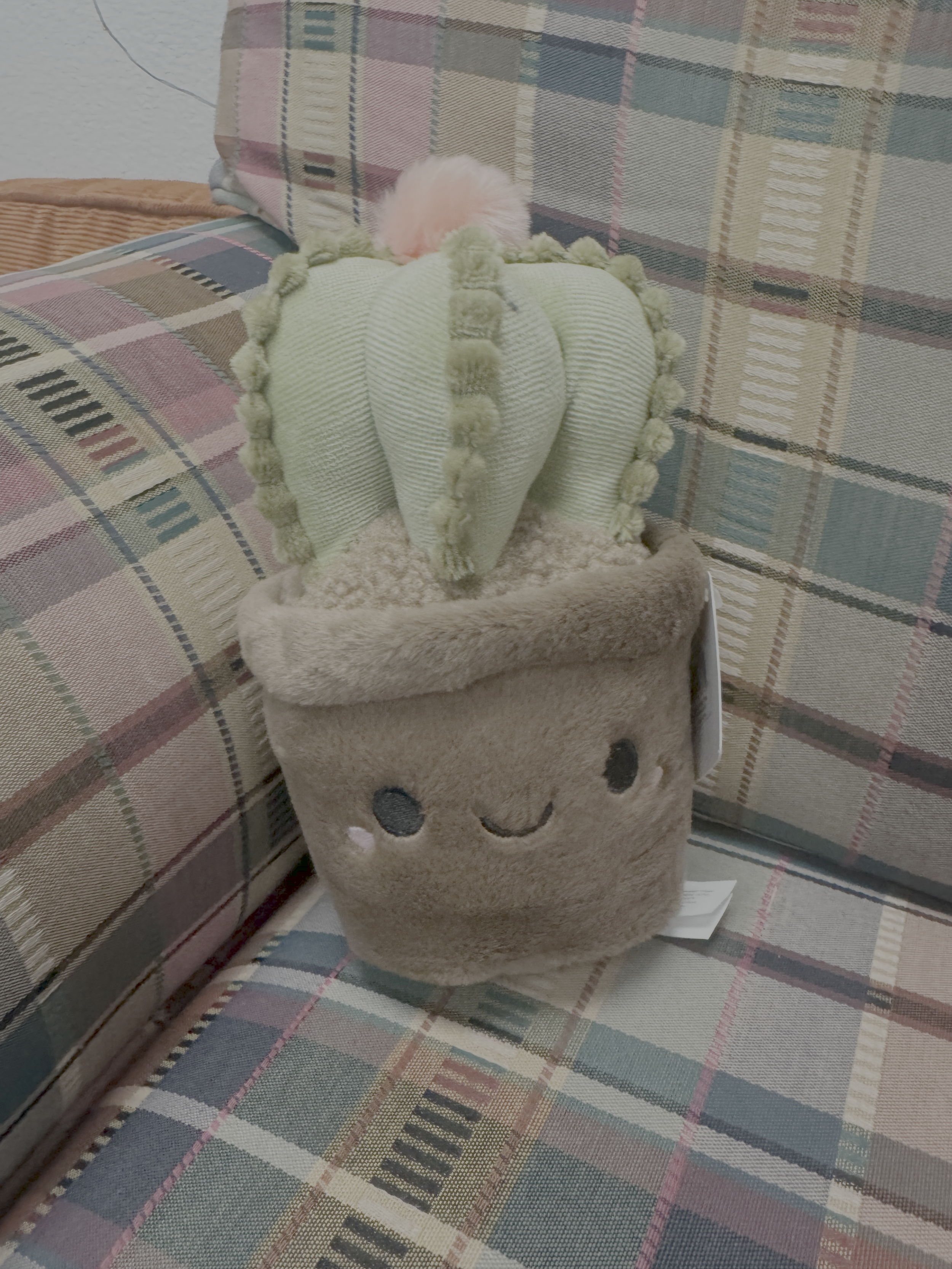 Cactus Plant Plushie