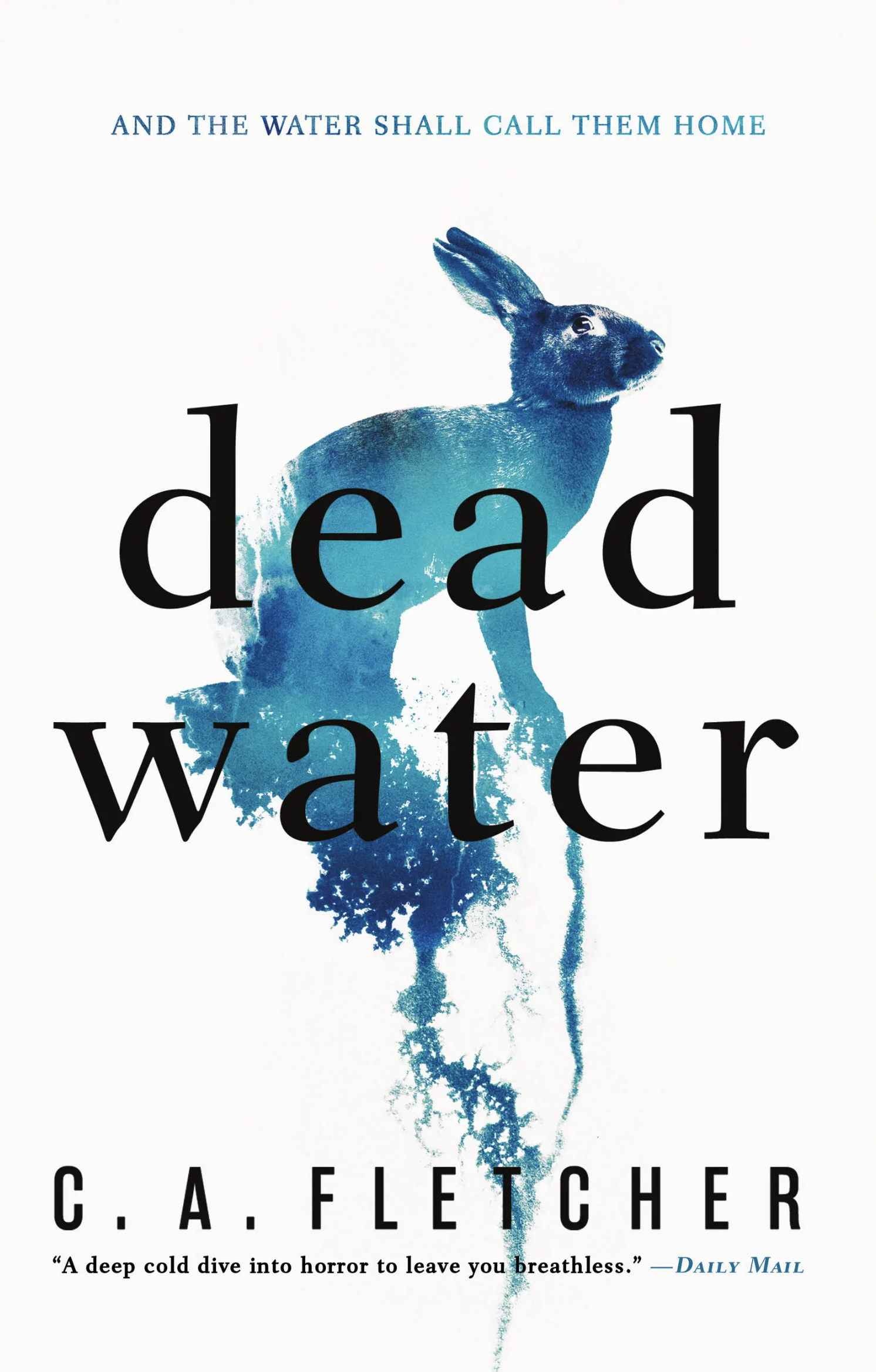 Dead Water (Paper Cover)