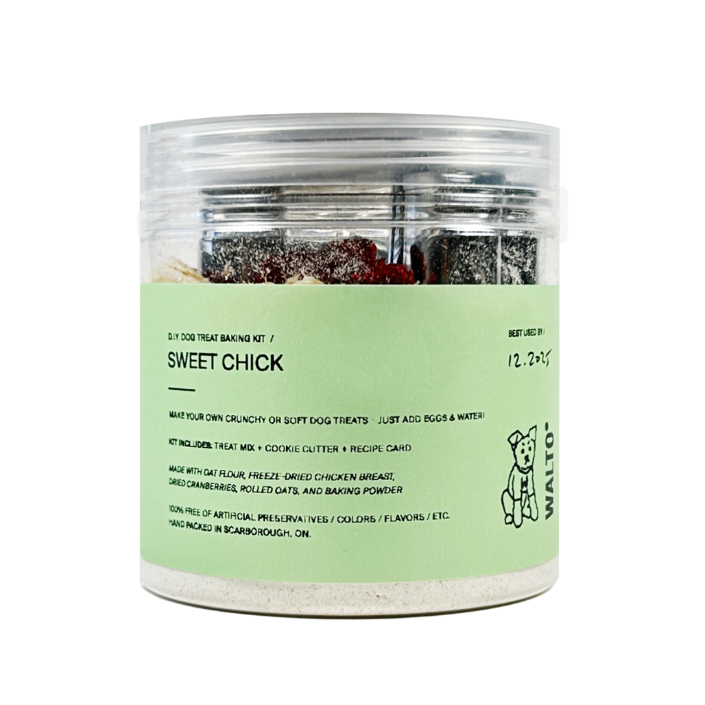 Sweet Chick (Front) Web Transparent.png