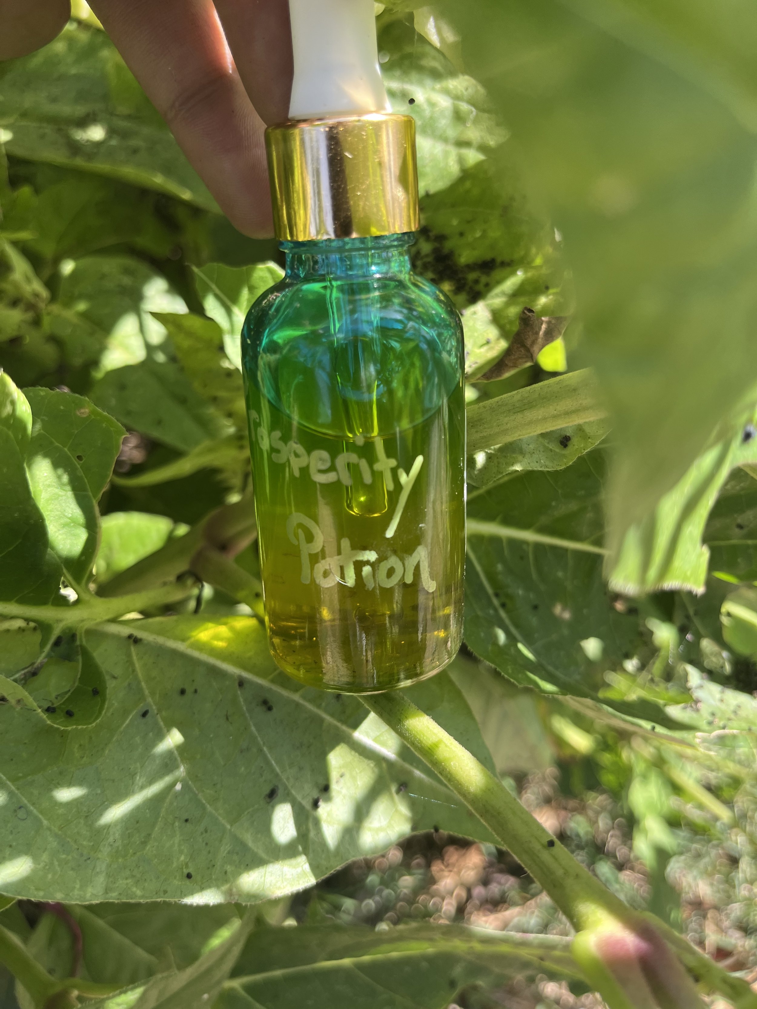 Prosperity Potion