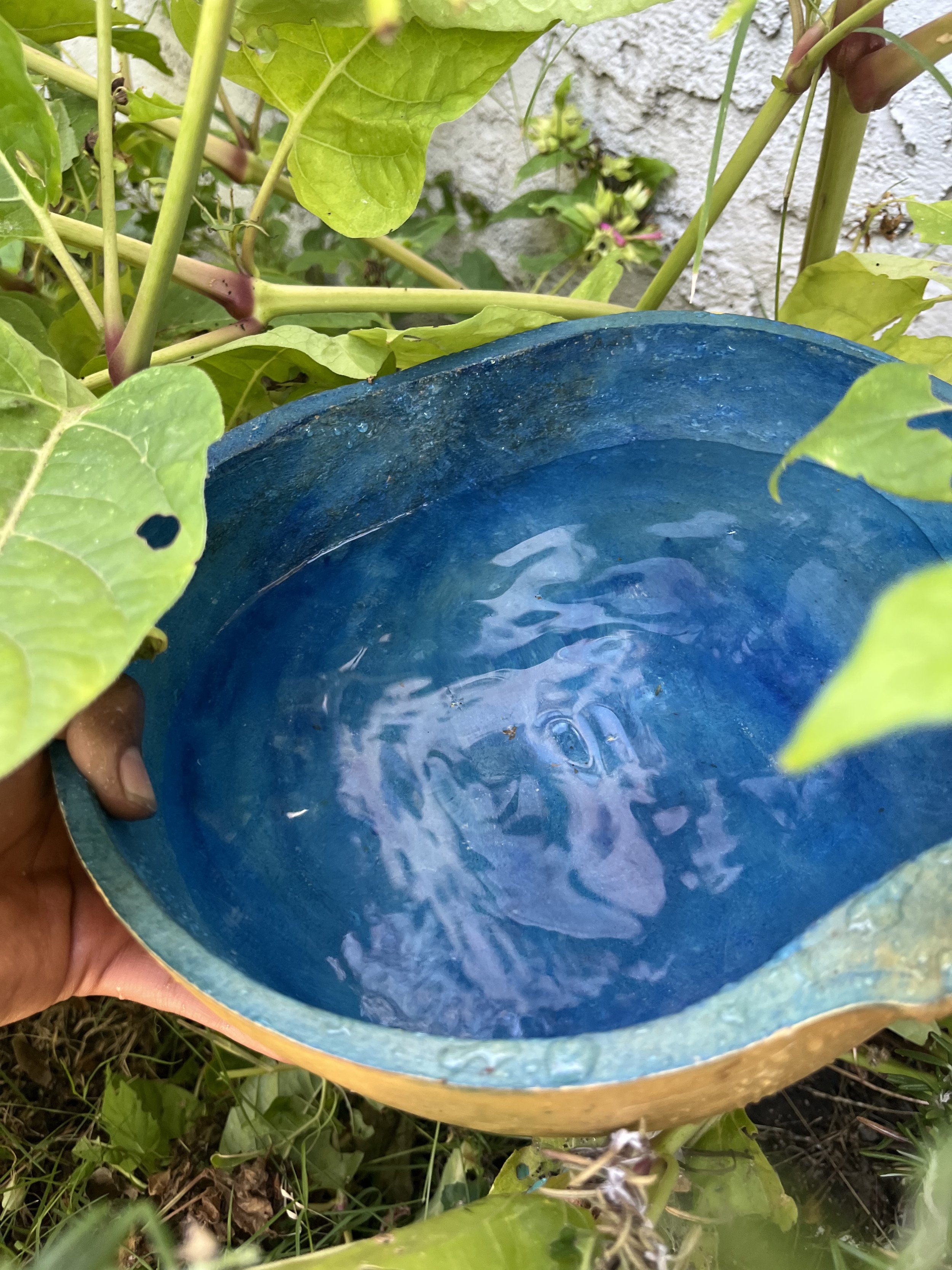 Ritual Bath Kit