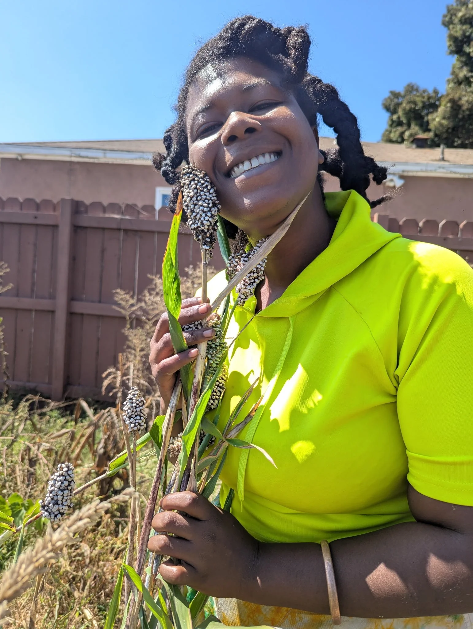 Sorghum: An Ancient Relative pt 3