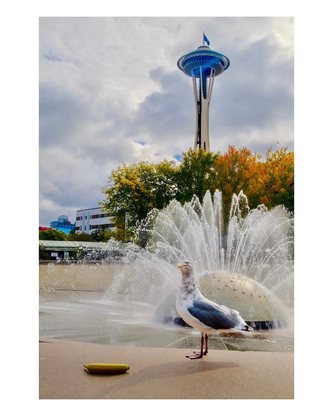 fall is starting to show🍁 

#autumnvibes #pnwfall #seattlephotography #pnwphotographer #fujifilmx100vi #fujifilmphotography #pnwonderland #pnwlife #autumnlight #fallcolors #cityandnature #seattlelife #fujifilmcolors #fujixseries #pnwviews #autumnmoo