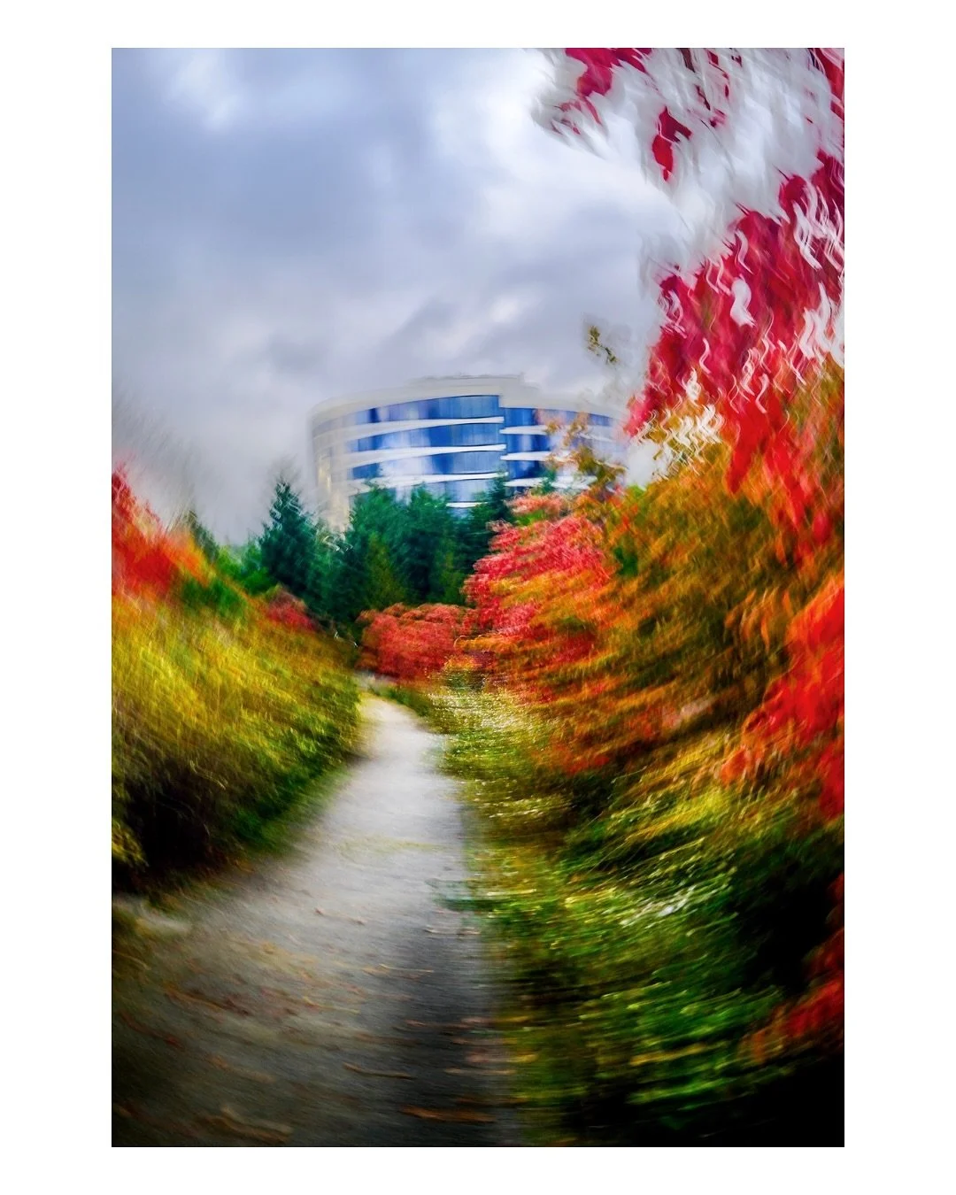 Fall is nature&rsquo;s way of setting itself on fire. A vivid reminder of beauty in transition. The colors arrive just as the cold and dark begin to creep in 🍂

#fallcolors #autumnlight #pnwfall #seasonchange #pnwphotographer #fujifilmx100vi #fujifi