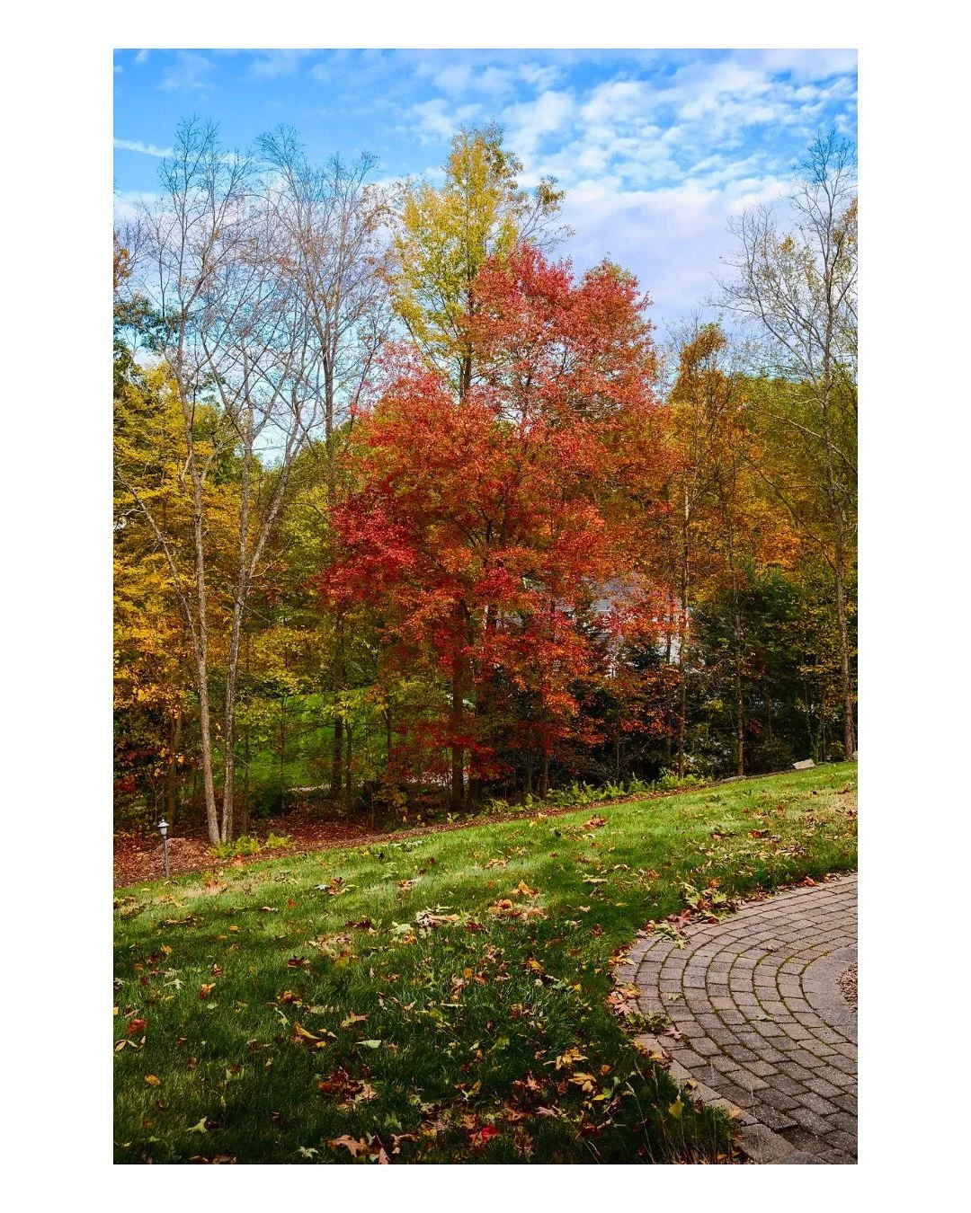 Autumn in New England 

.

.

#newenglandfall #fallcolors #autumnlight #newenglandphotography #fujifilmx100vi #fujifilmphotography #seasonchange #colorstudy #autumninnewengland #landscapephotography #fallpalette #formandlight #newenglandviews