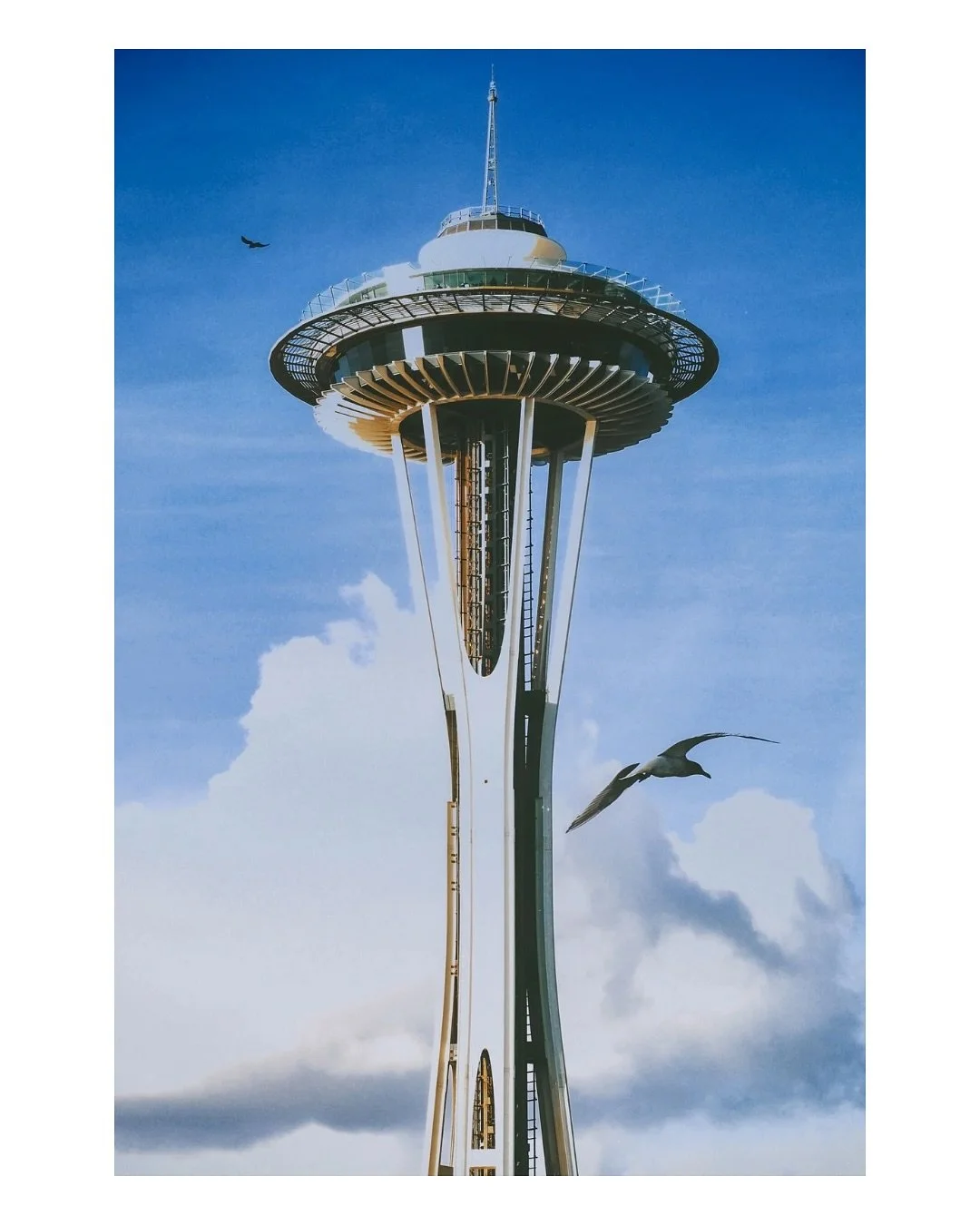 Today marks 5 years since I moved into my Seattle apartment. Feeling incredibly grateful to call this place home

Here are 5 favorites taken from home

#seattlelife #homeviews #frommywindow #seattlephotography #pnwphotographer #citylife #cloudcastle