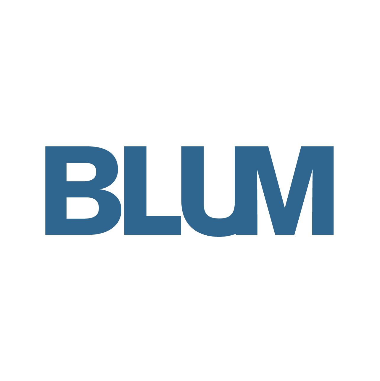Blum Logo.png
