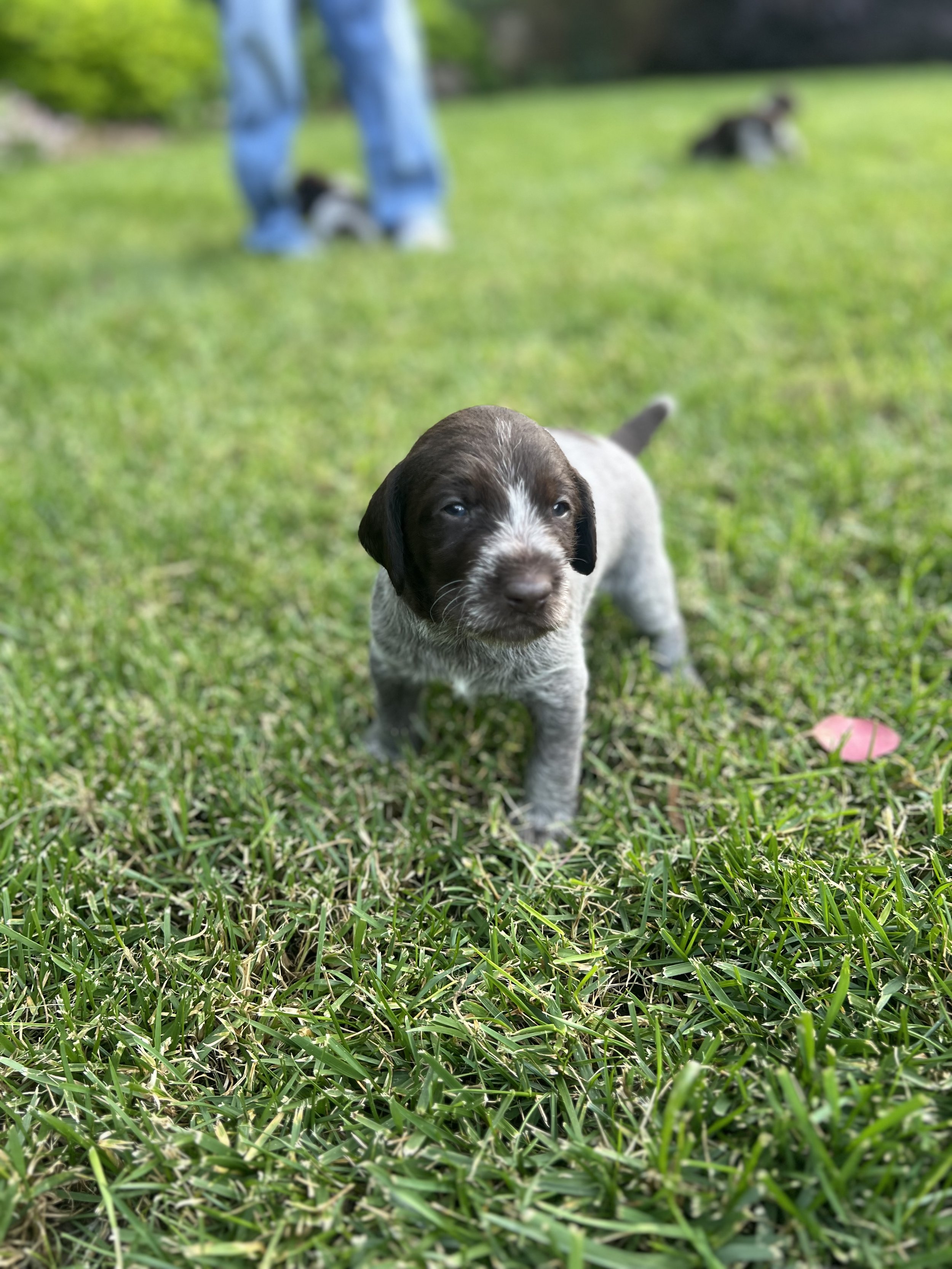 IMG_4390.jpeg