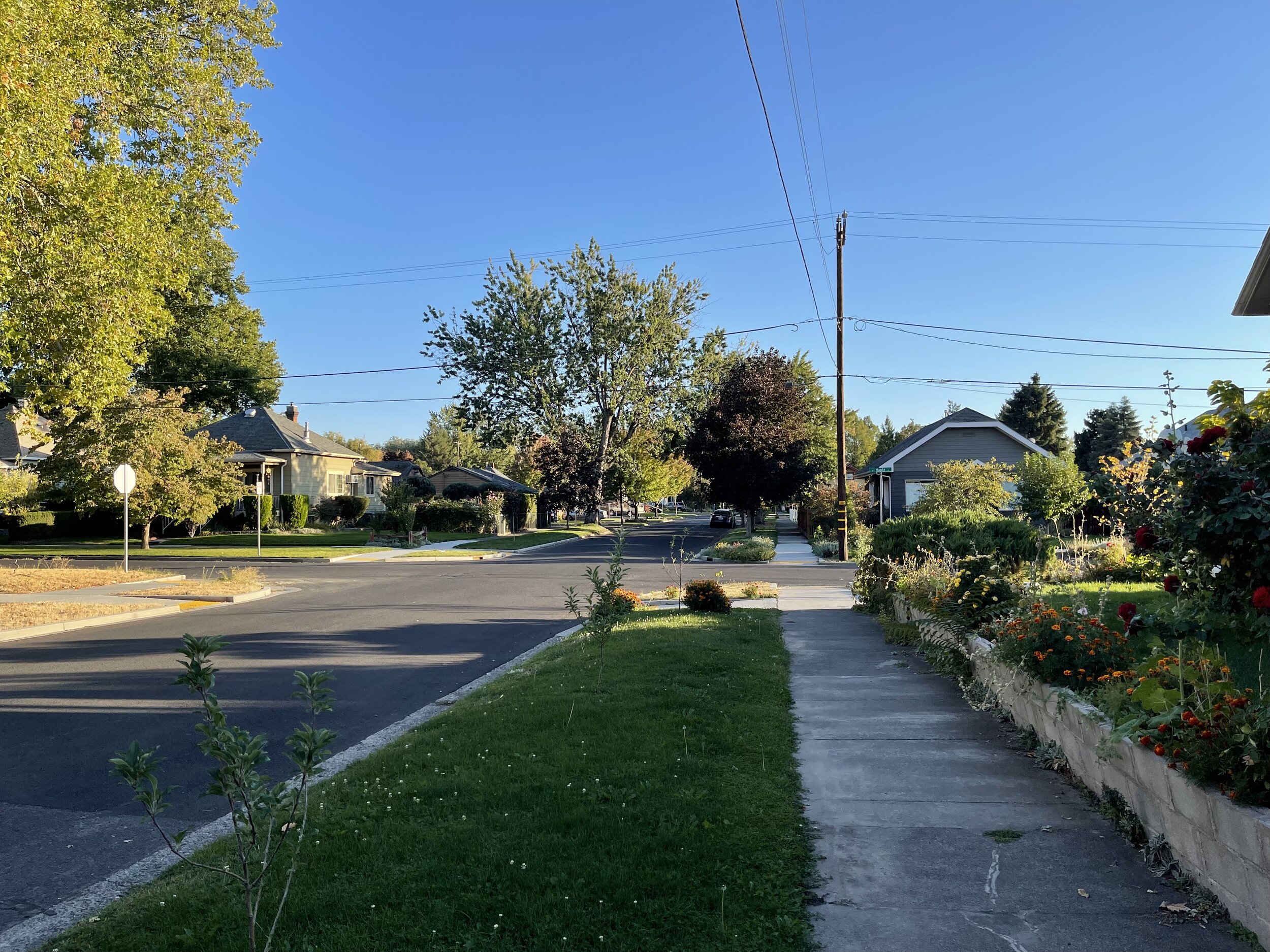 Looking south down the street