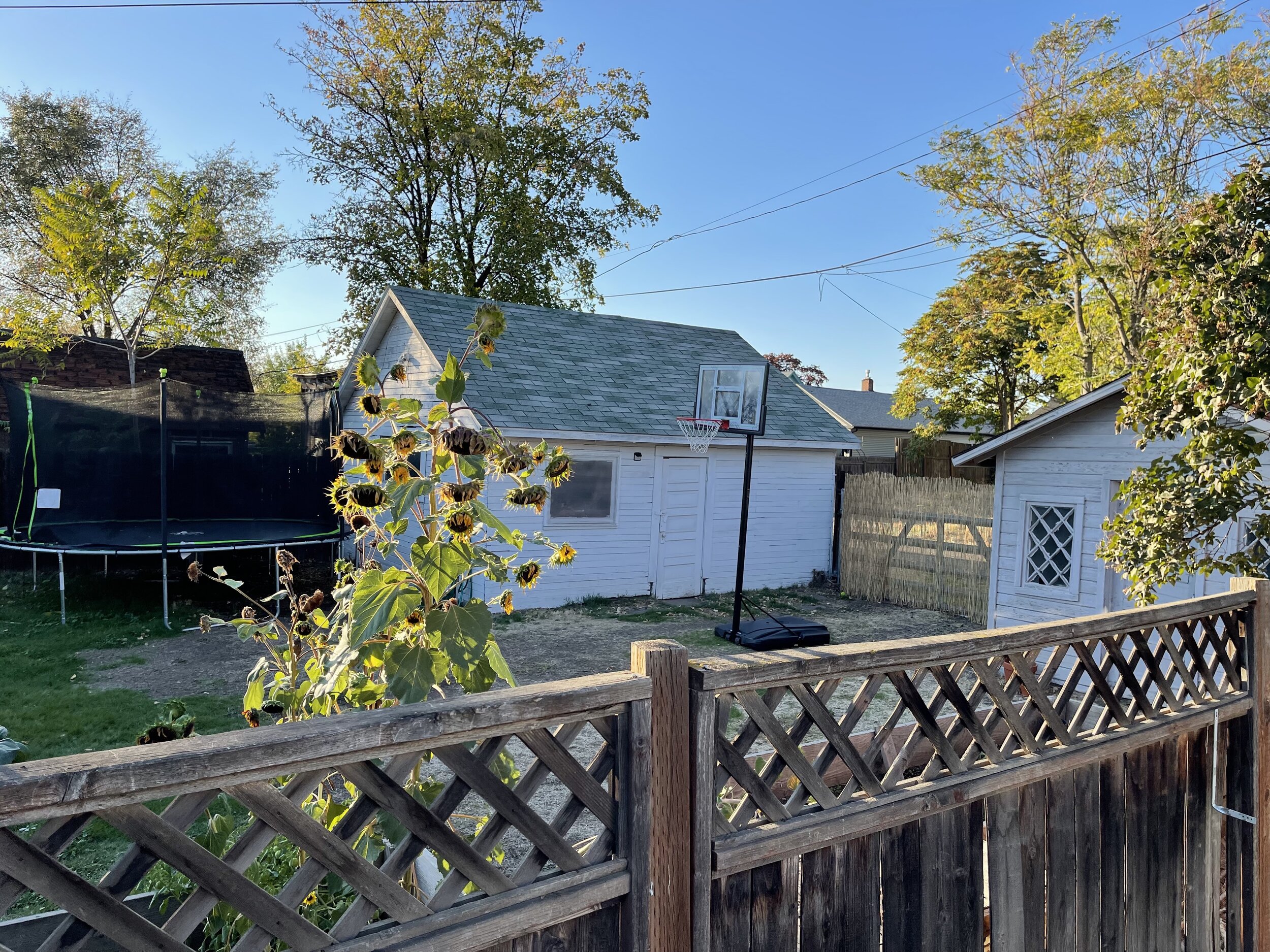 Picture over the fence to neighbor to the west
