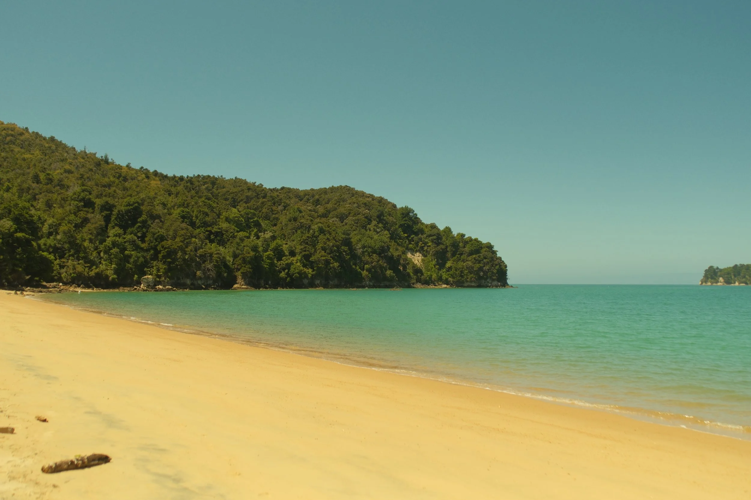 Portfolio-Amber-1.jpg