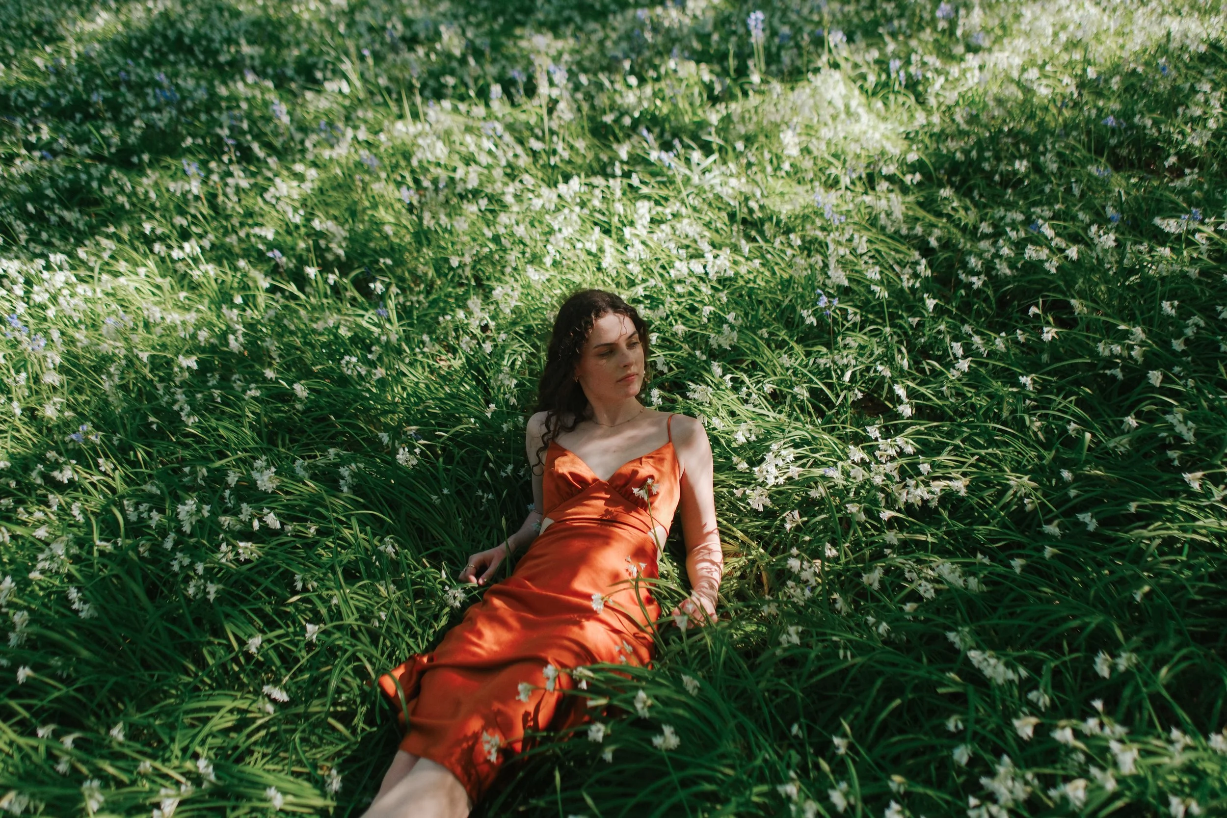 In the Meadow of Lost Dreams