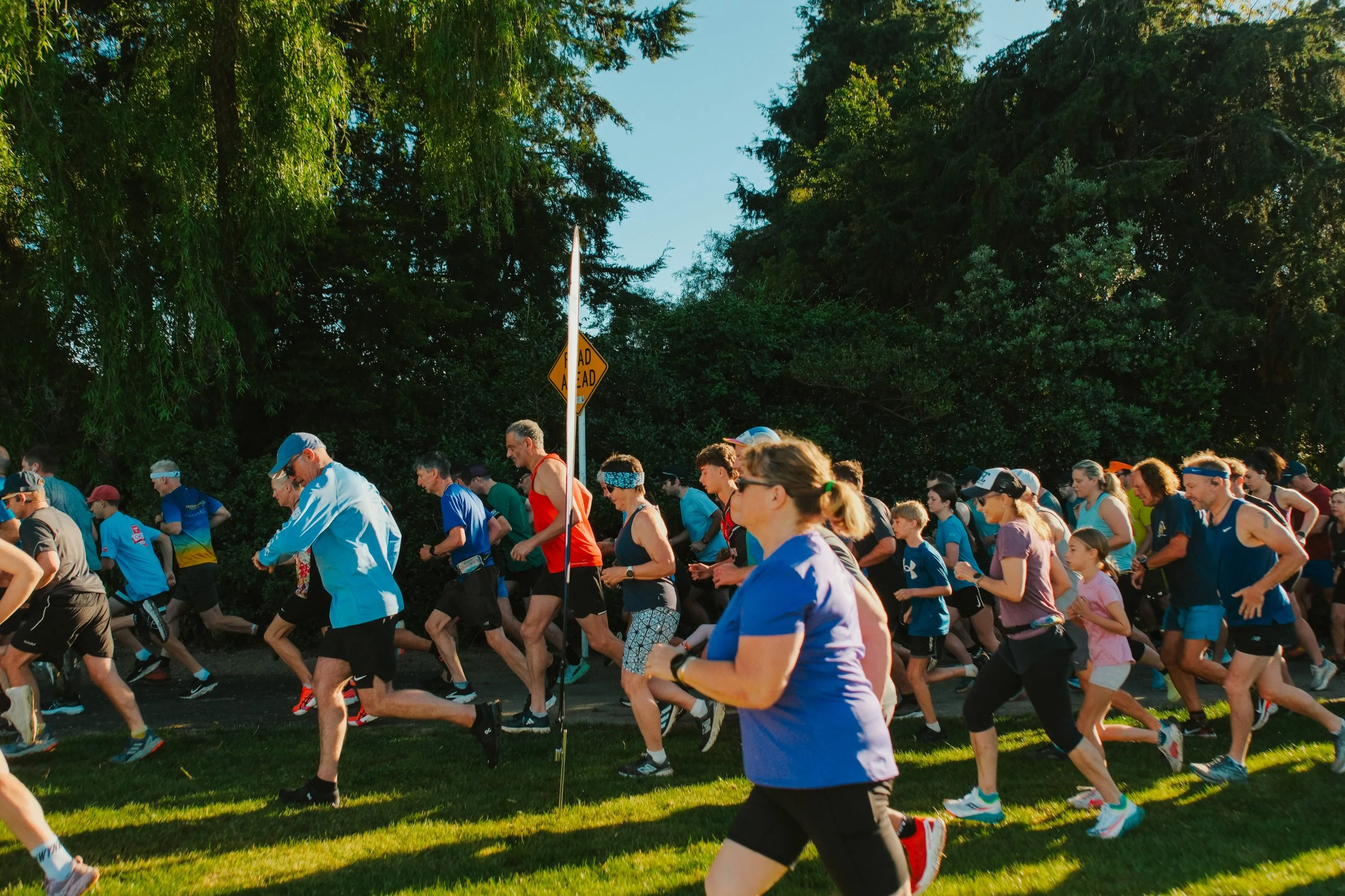Parkrun — 8 November 2025 | Neale Park, Nelson