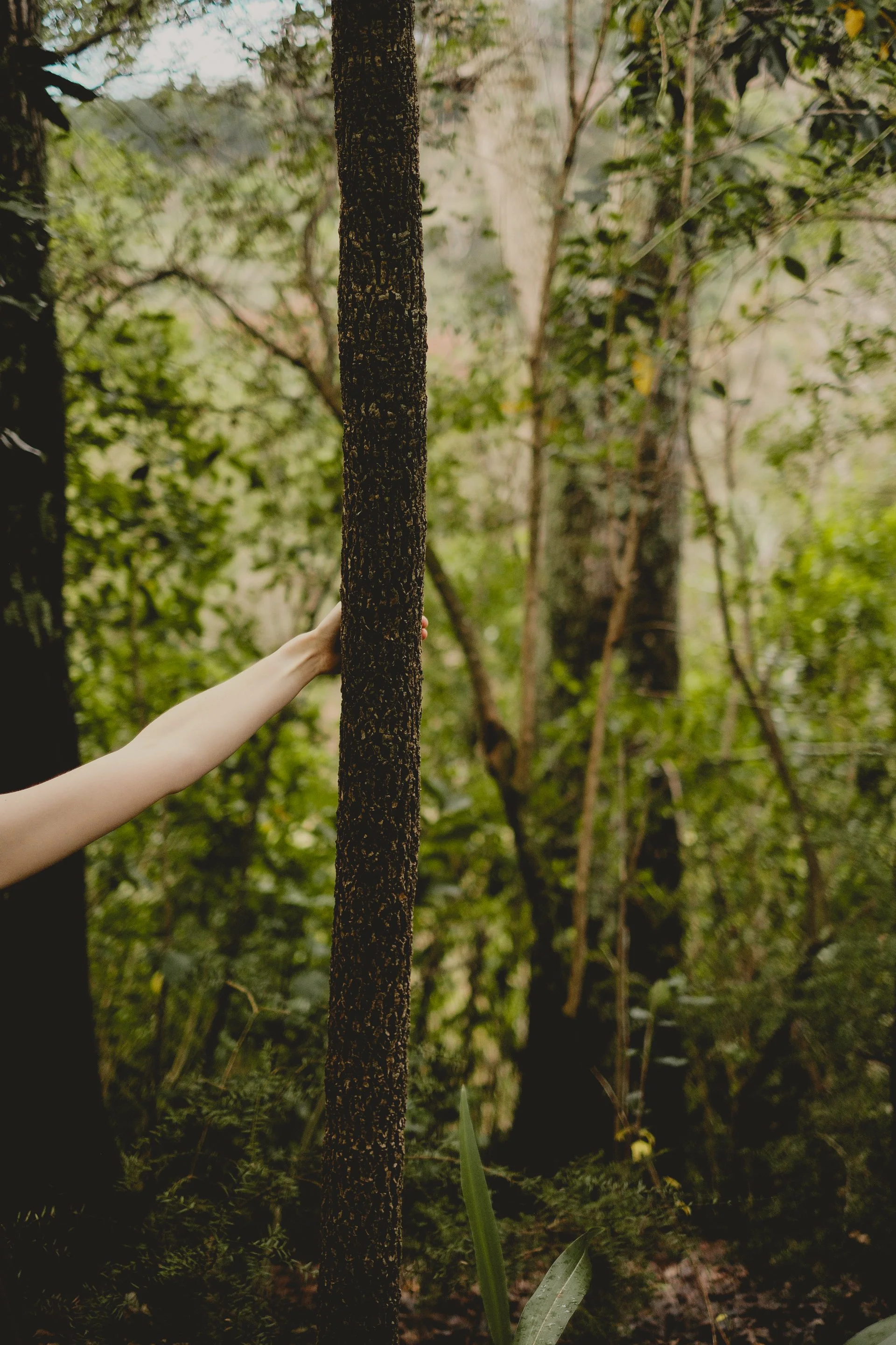 Portfolio-Kaitlyn-23.jpg