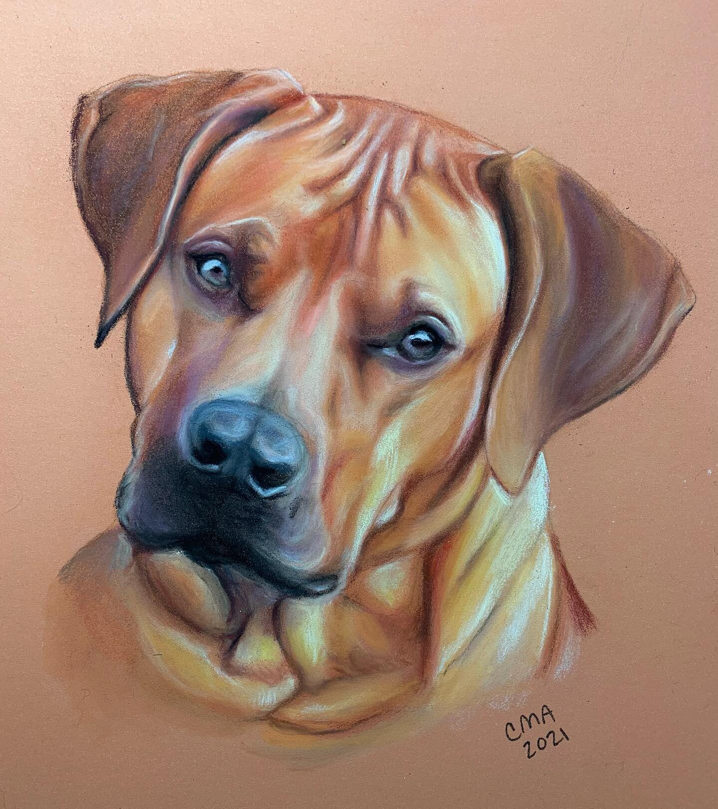 This is Chase! 9x12 PanPastels and Pastel Pencils on Clairefontaine Pastelmat