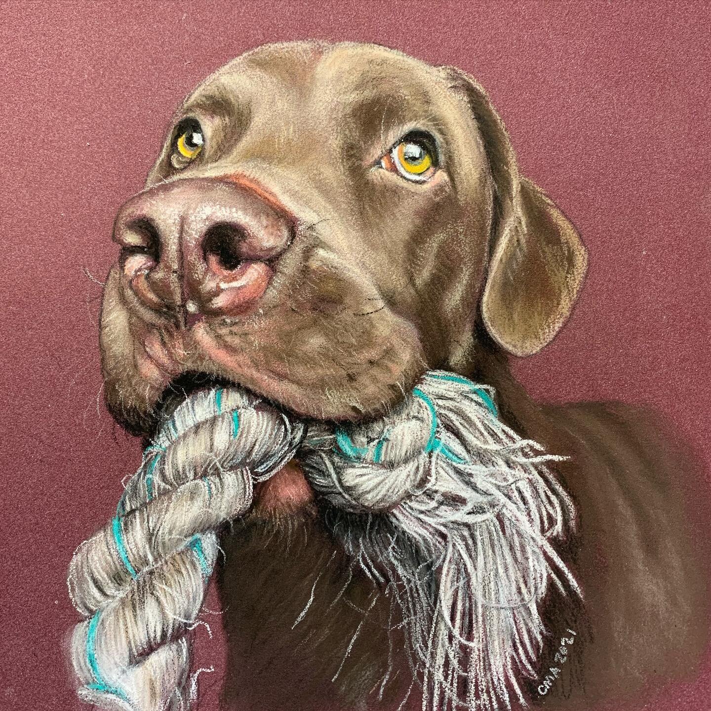Henry with his toy! 7x9 pastels on pastelmat.