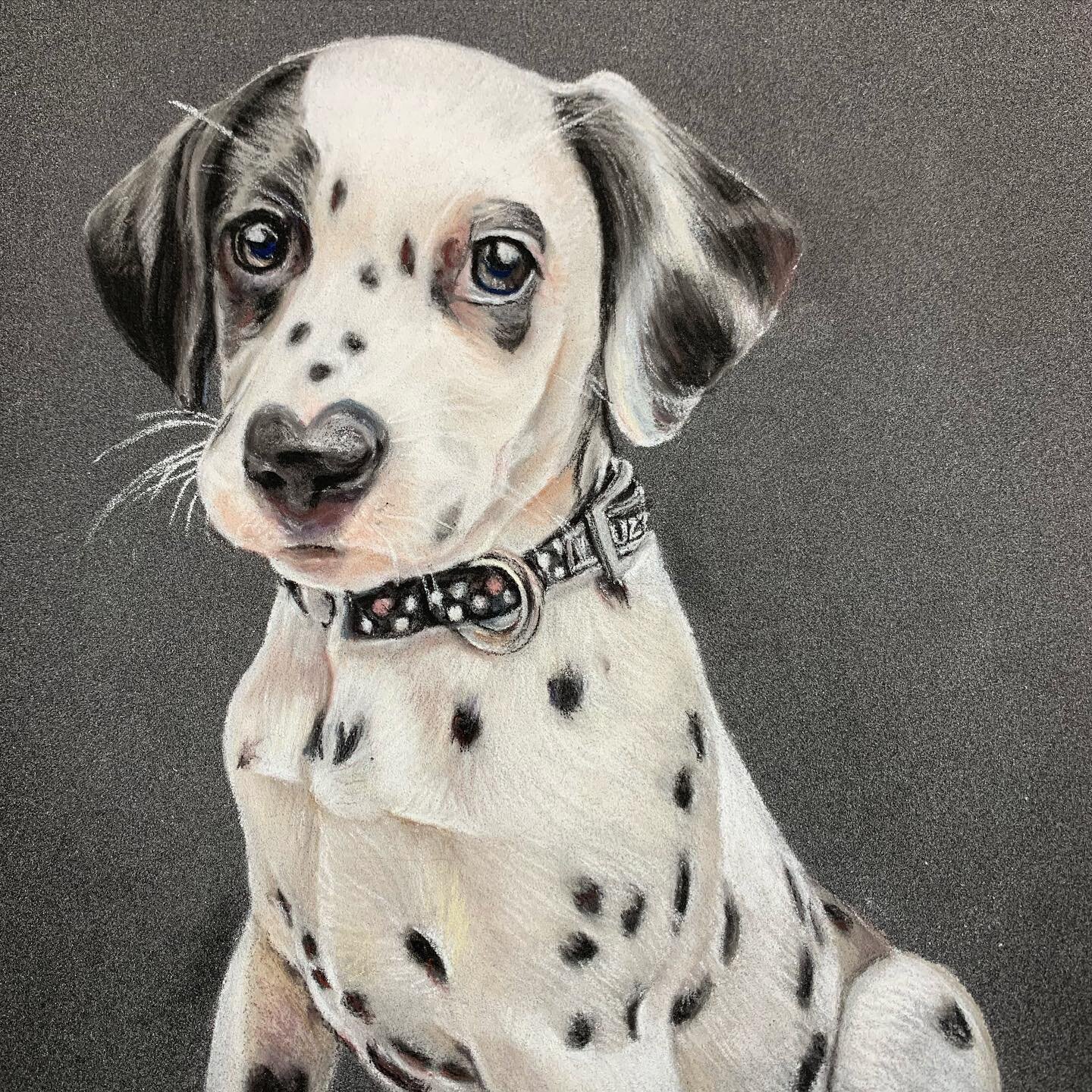 This is Dizzy, my first Dalmatian! Look at her little heart nose!

Pastels on 7x9&rdquo; pastelmat