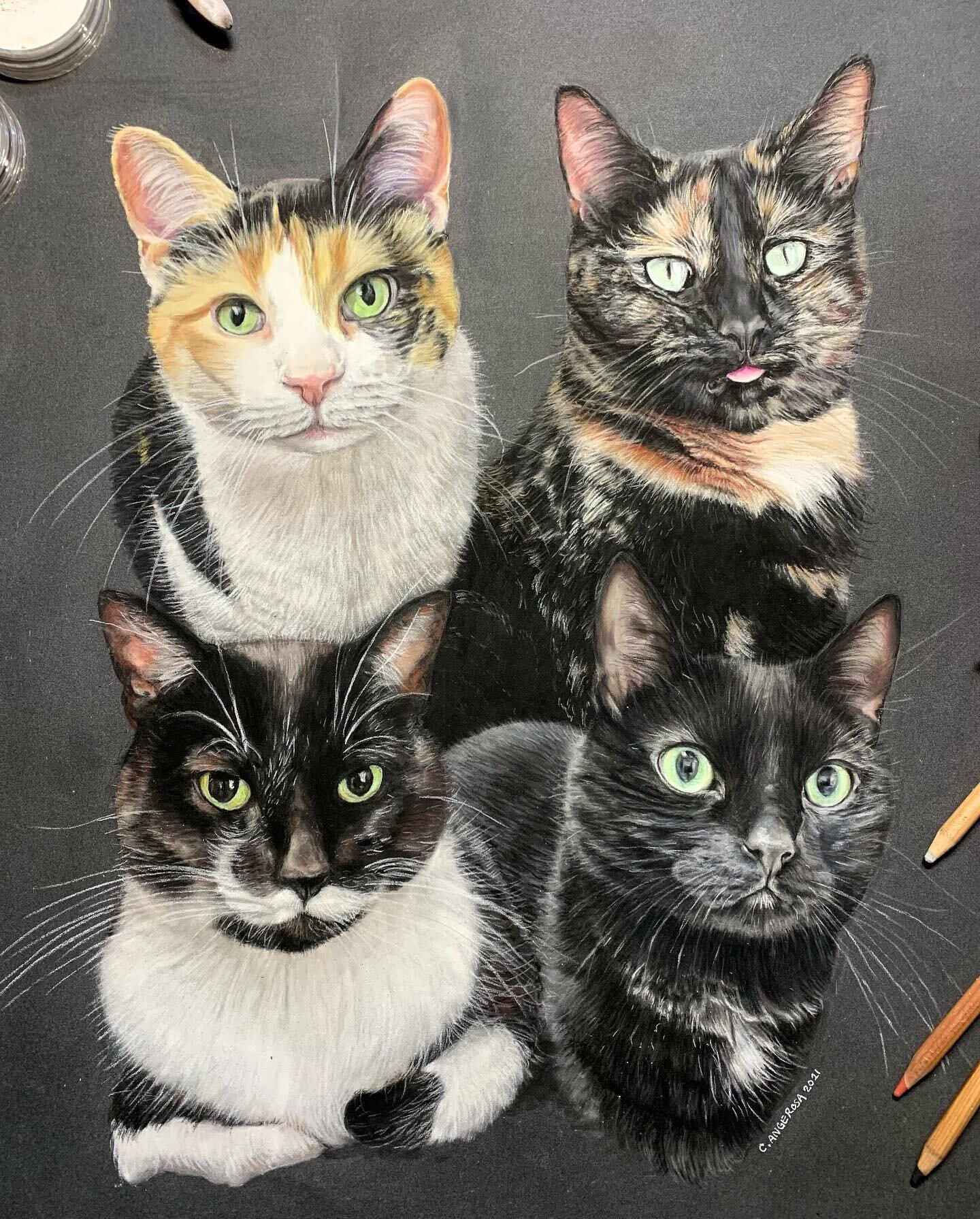 Here we have: Top left, Ollie, Top right, Arya
Bottom left, Chaplyn, Bottom right, Sho'nuff (Sho for short). This is one of the biggest portraits I have done yet! I wanted to take a cute picture of myself holding it like some of the other artists&rsq