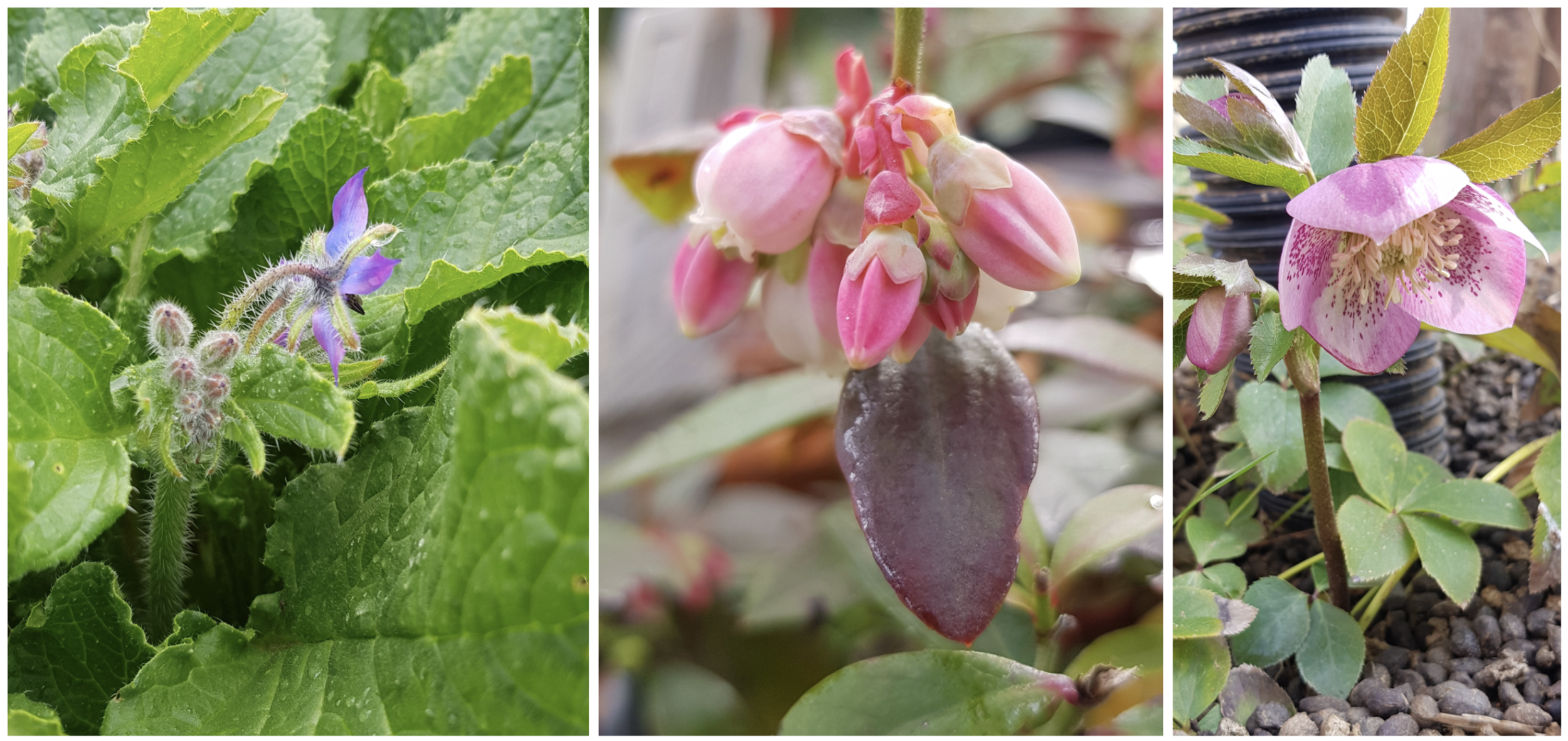 Screen Shot 2020-08-26 at 9.06.05 pm.png