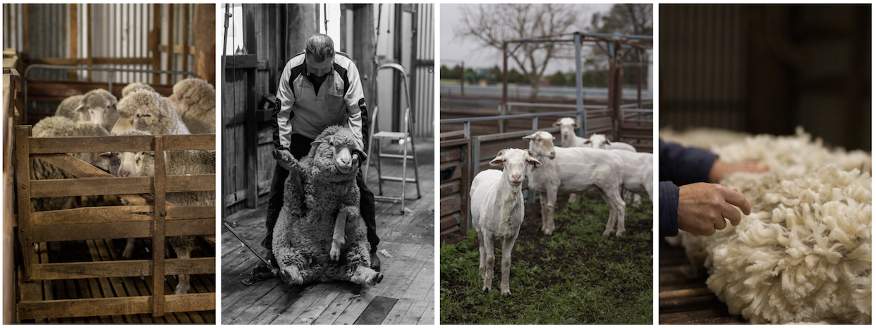 photos by Em Callaghan @Emcallaghan1