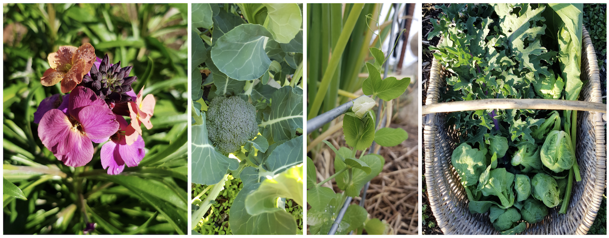 Screen Shot 2020-08-26 at 9.25.17 pm.png