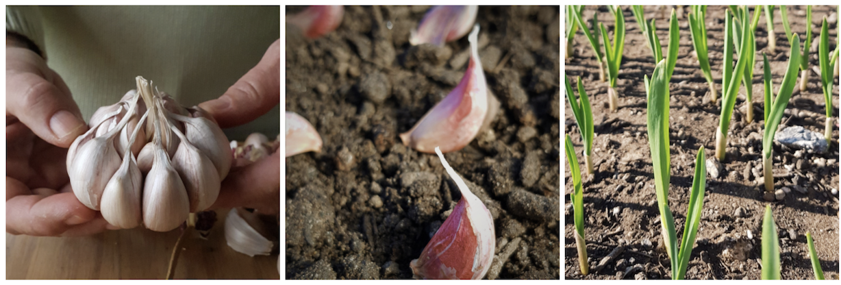 Screen Shot 2020-08-26 at 9.34.26 pm.png