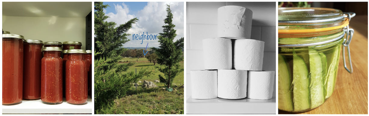 Screen Shot 2020-08-26 at 9.46.53 pm.png