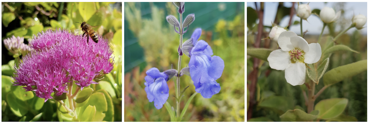 Screen Shot 2020-08-26 at 9.57.34 pm.png