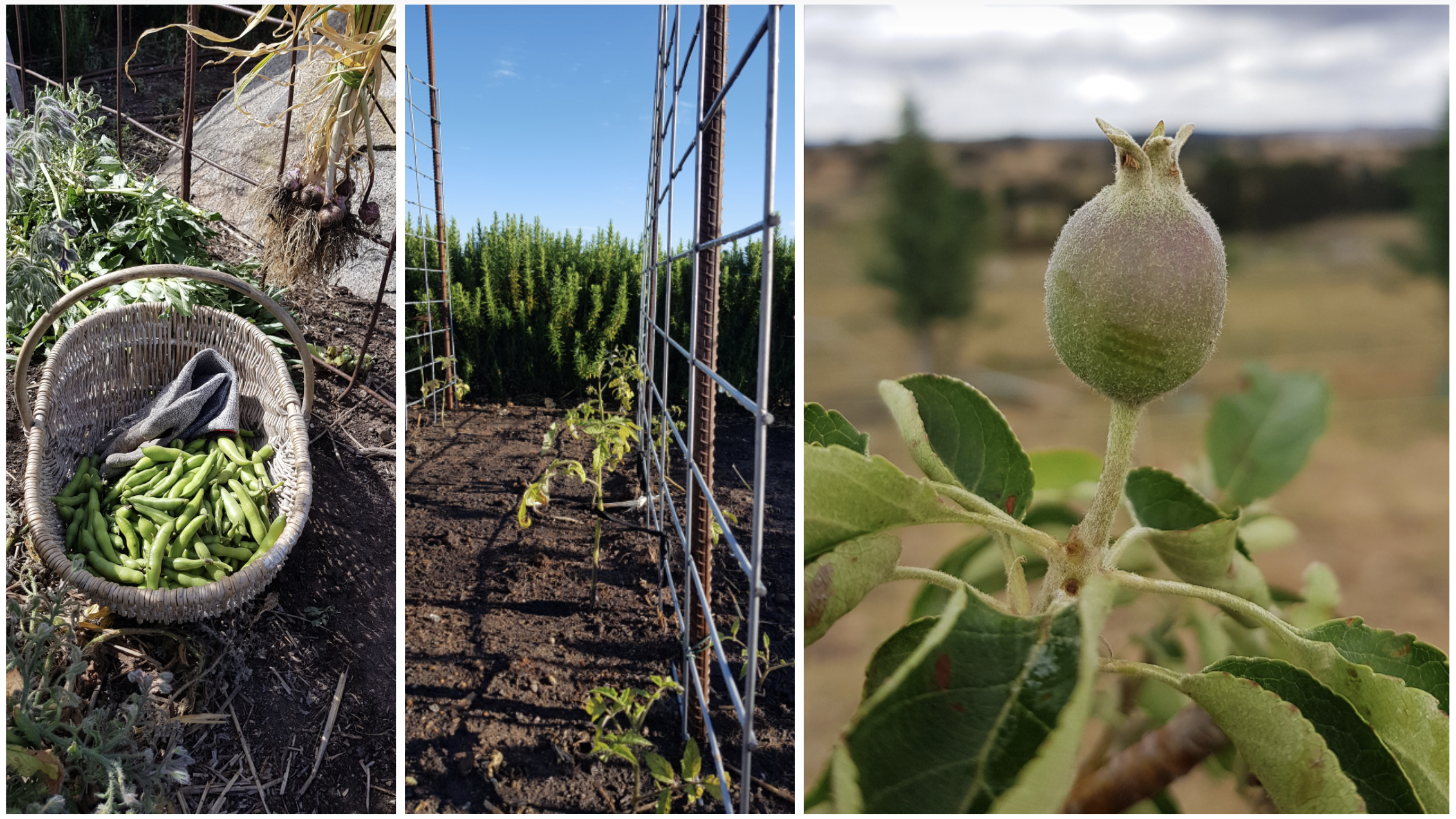 Screen Shot 2020-08-28 at 1.27.25 pm.png