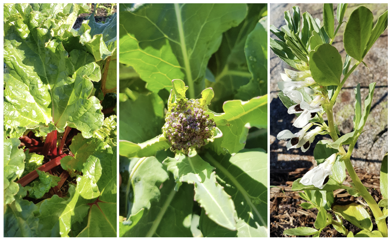 Screen Shot 2020-08-28 at 9.41.22 pm.png