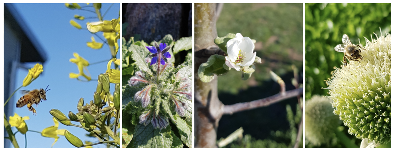 Screen Shot 2020-08-28 at 9.41.37 pm.png