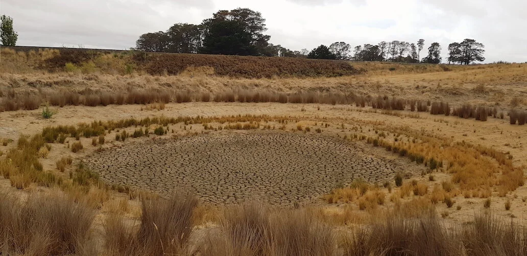 Before = January 2020