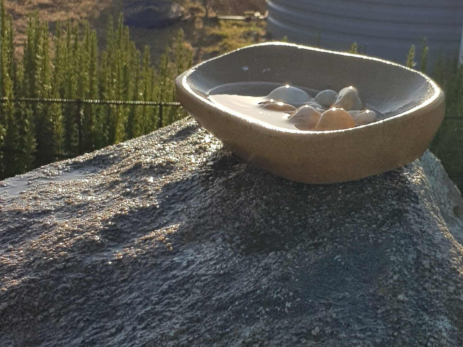 cool early morning starts with plenty of water around