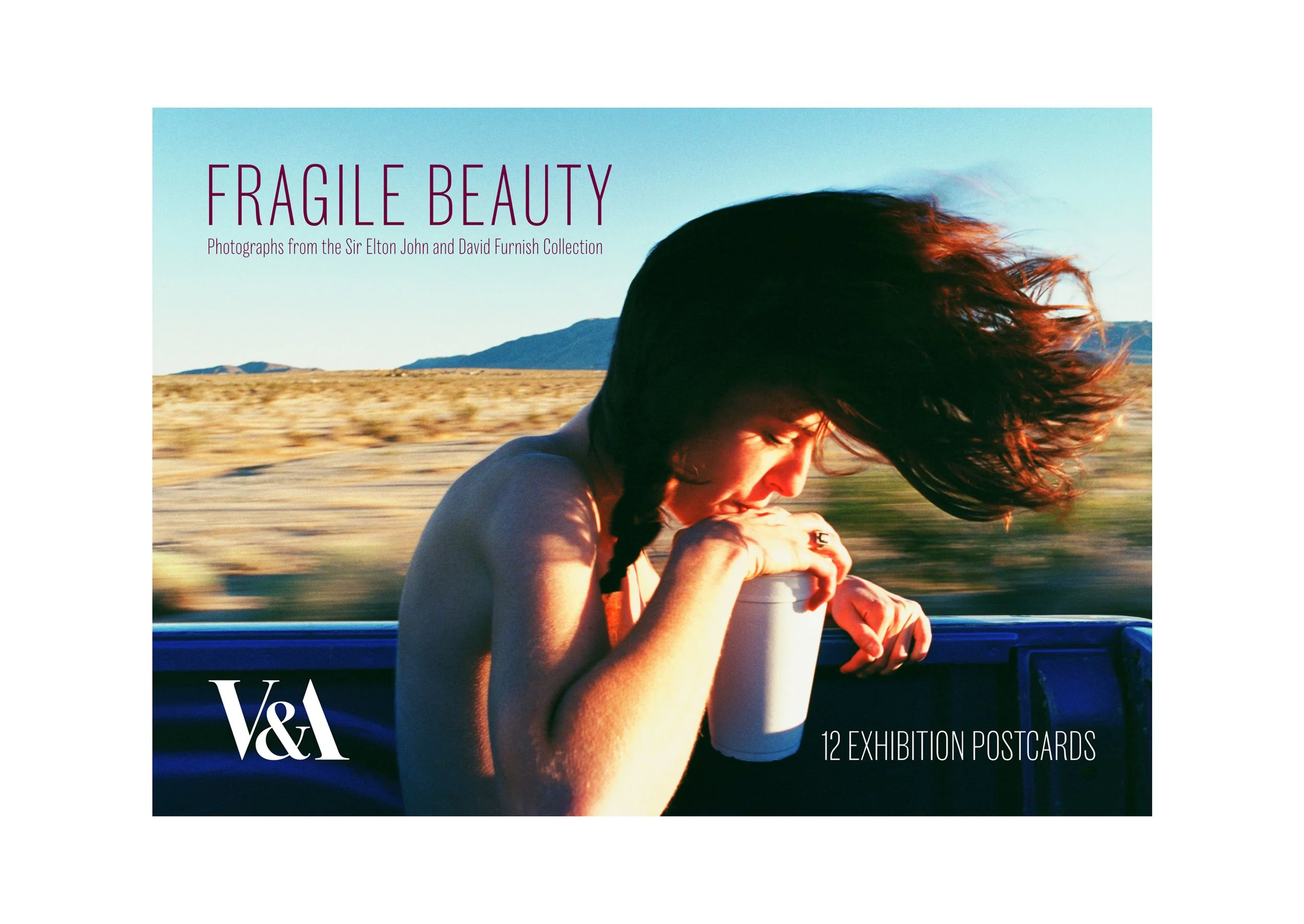 Fragile Beauty Postcard Wallet for V&A