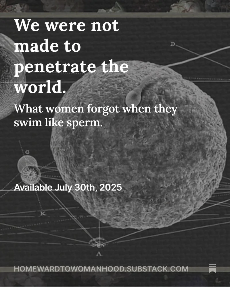 Women Are Not Made to Penetrate the World