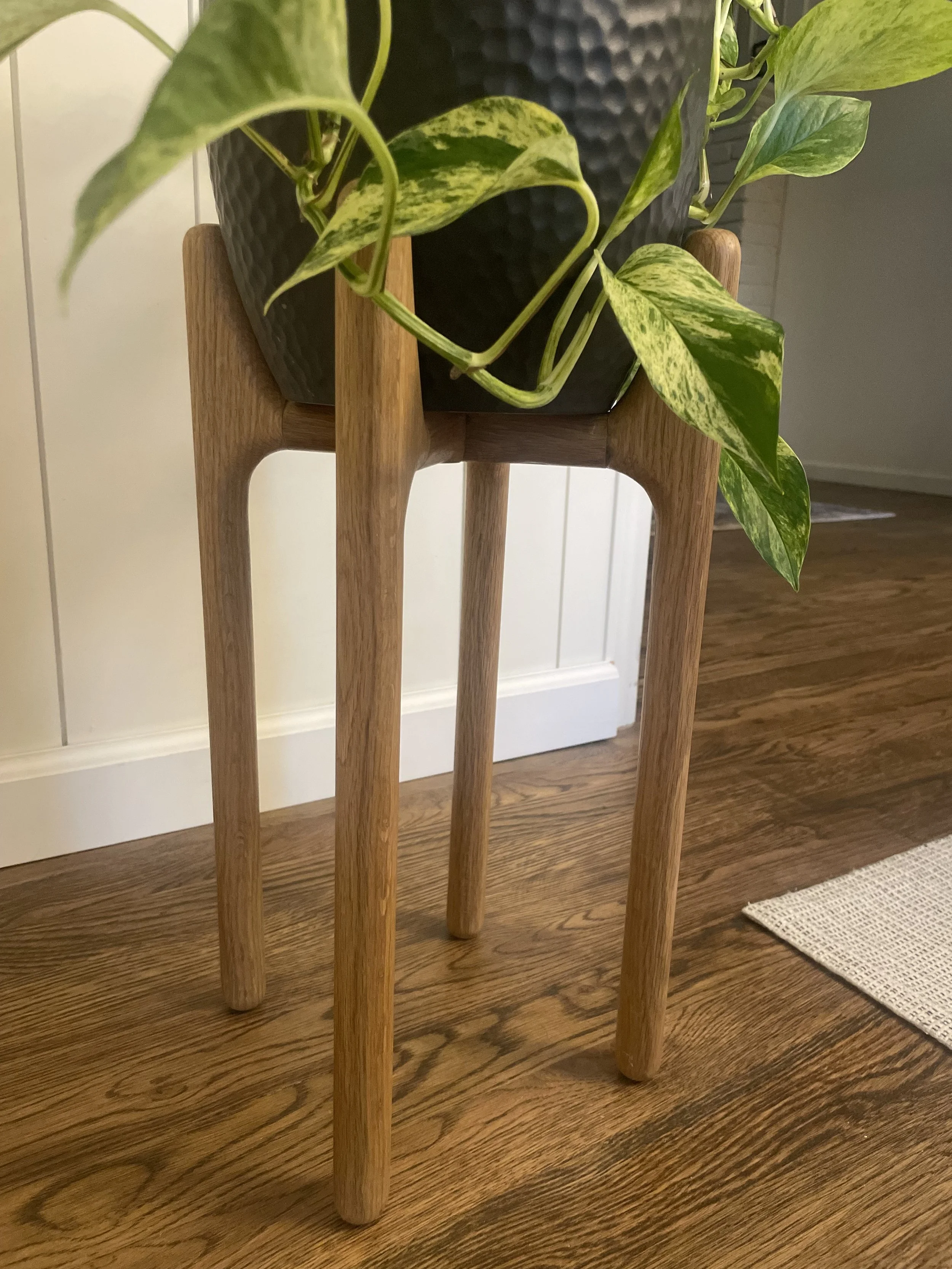 Plant Stand 4.jpg