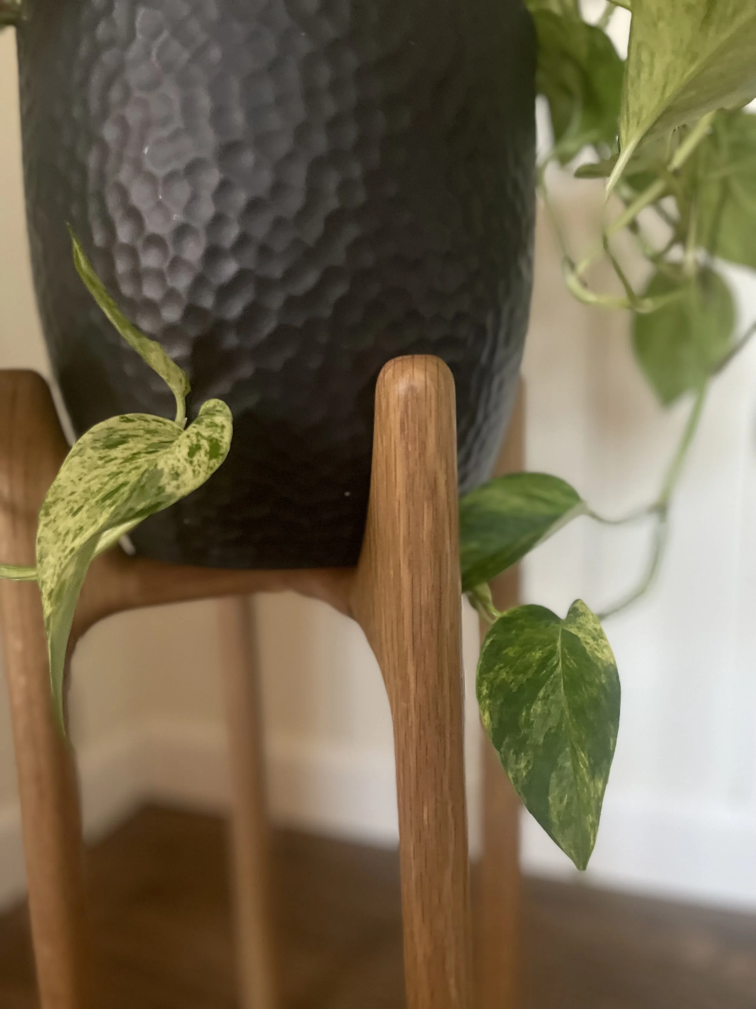 Plant Stand 3.jpg
