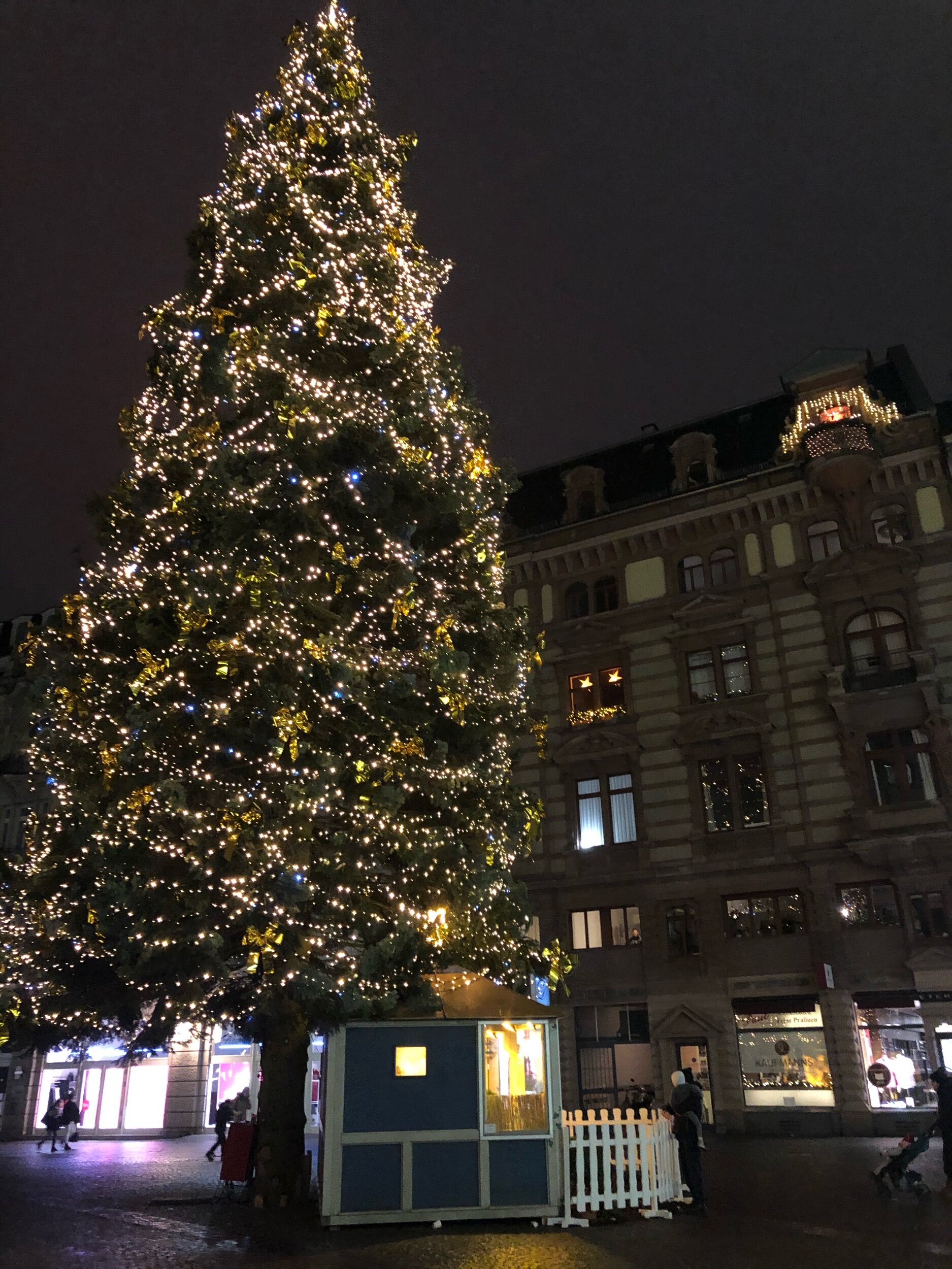 IMG_8190.jpeg