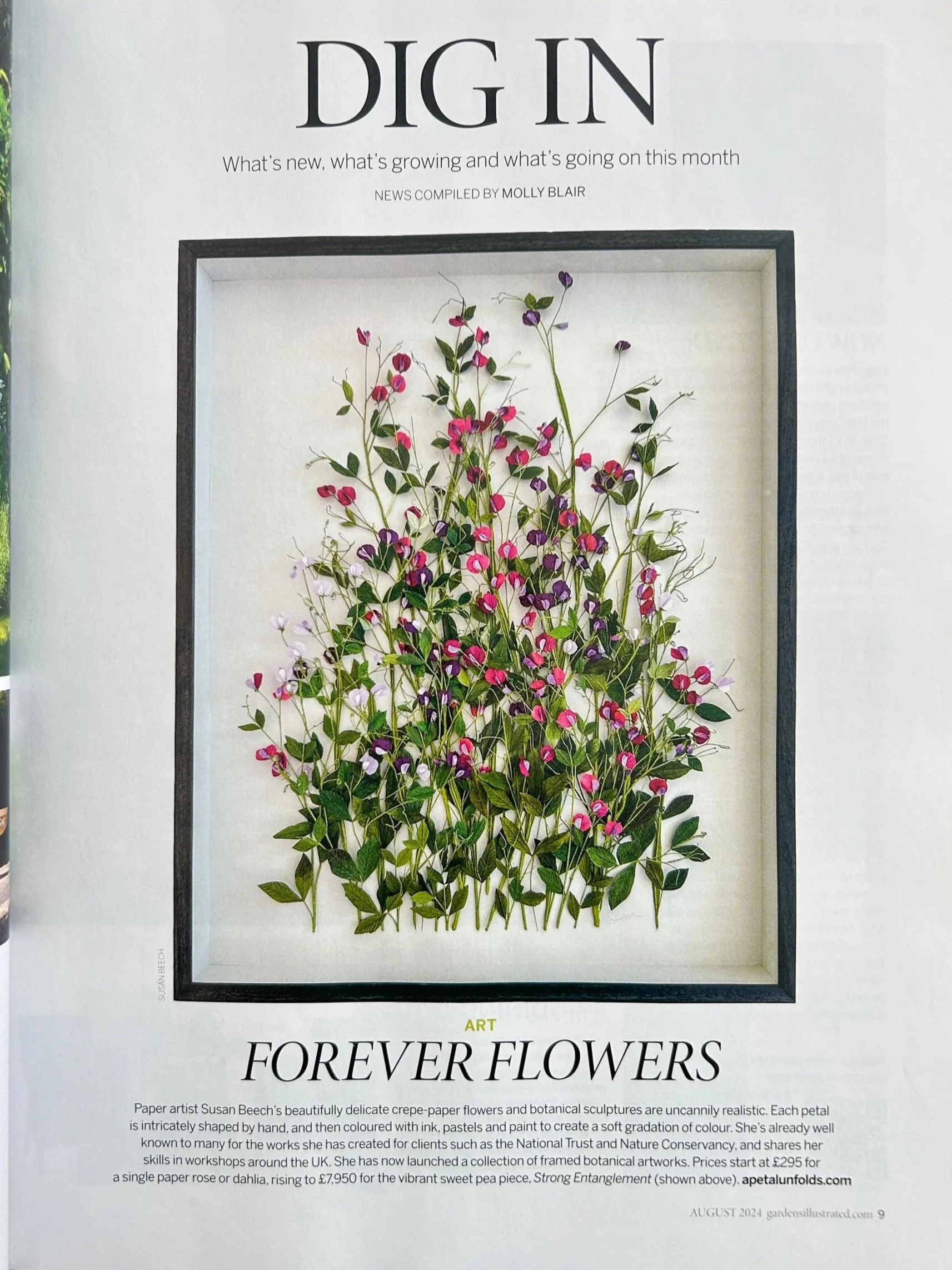 Gardens Illustrated August 2024