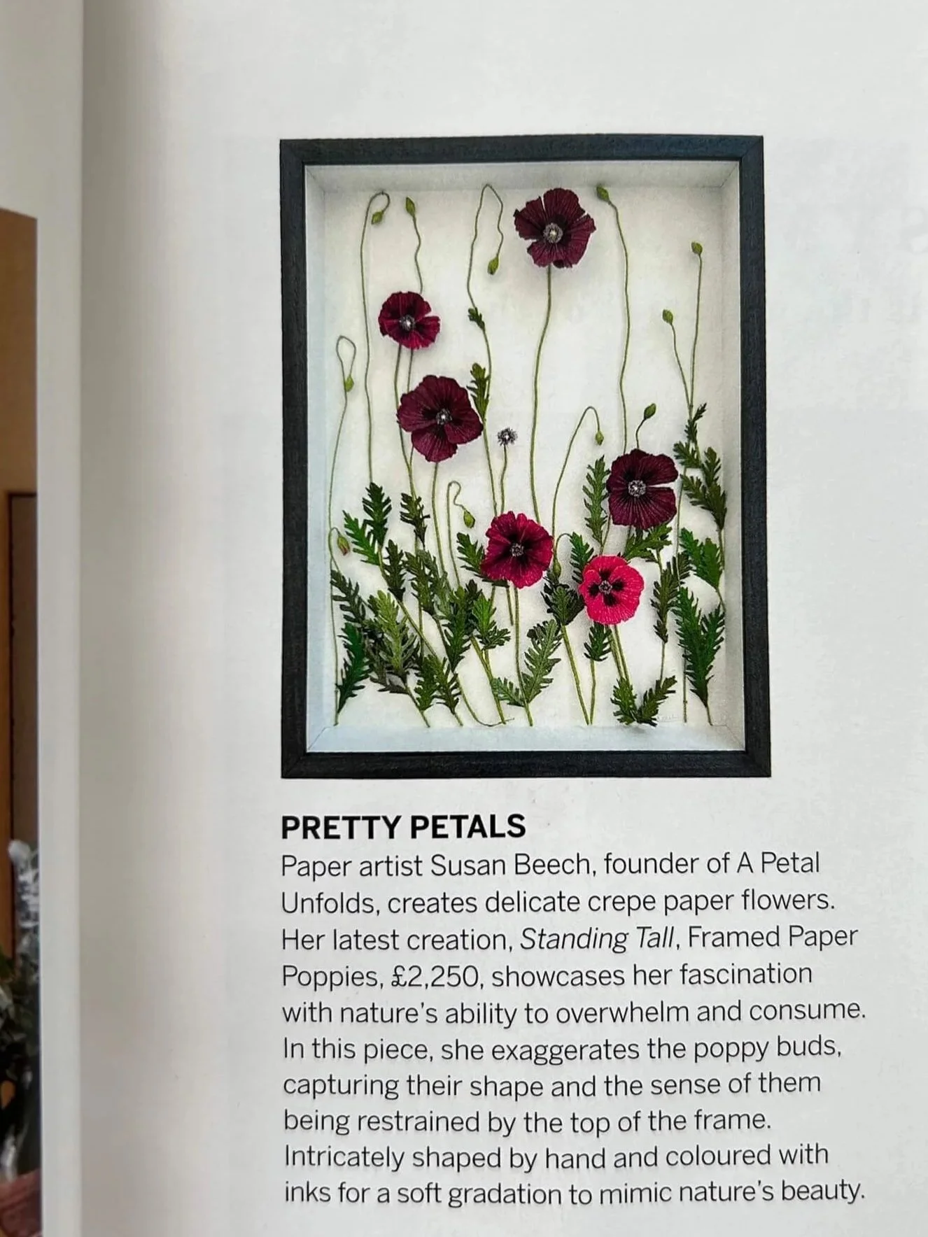 Homes & Gardens Sept 2024