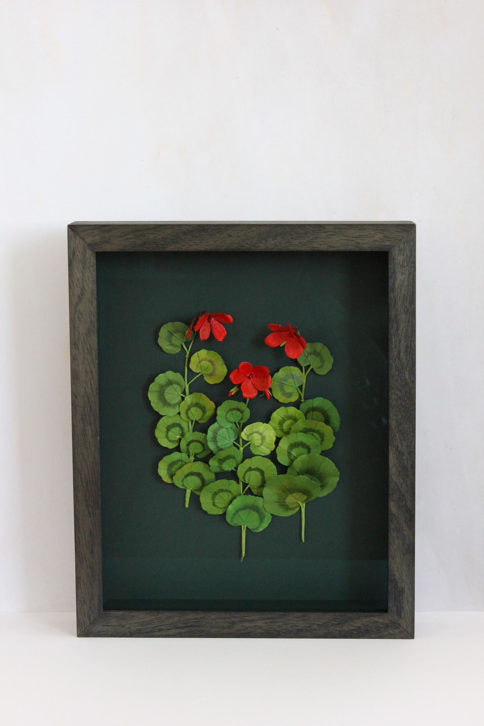 red-framed-paper-geranium-stems-a-petal-unfolds.jpg